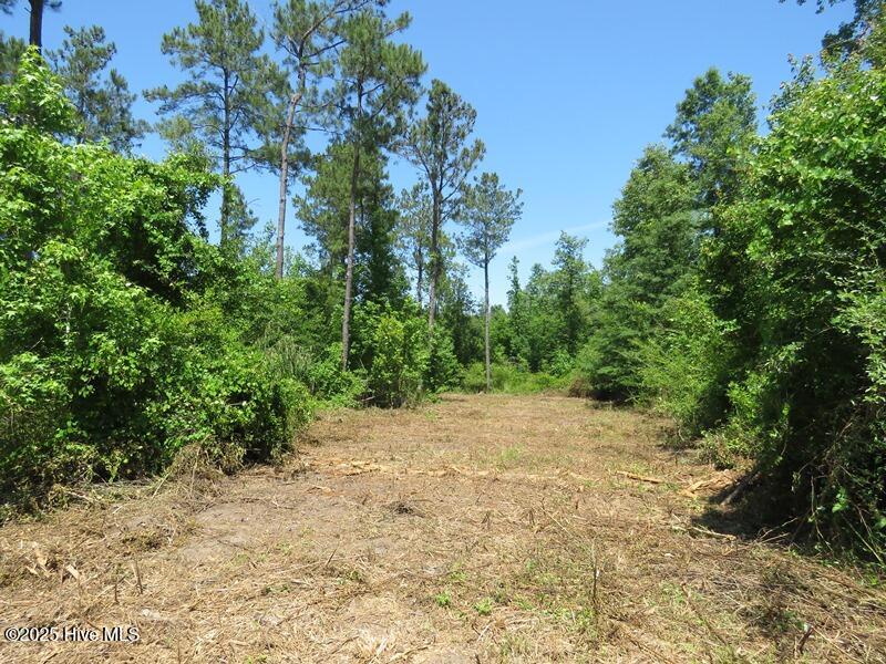 Tbd Near 5214 Andrew Jac Property Photo 13