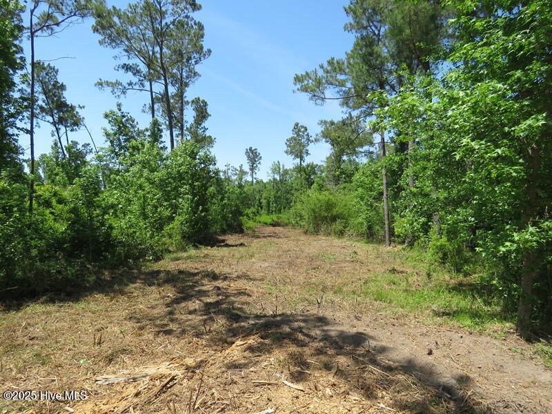 Tbd Near 5214 Andrew Jac Property Photo 14