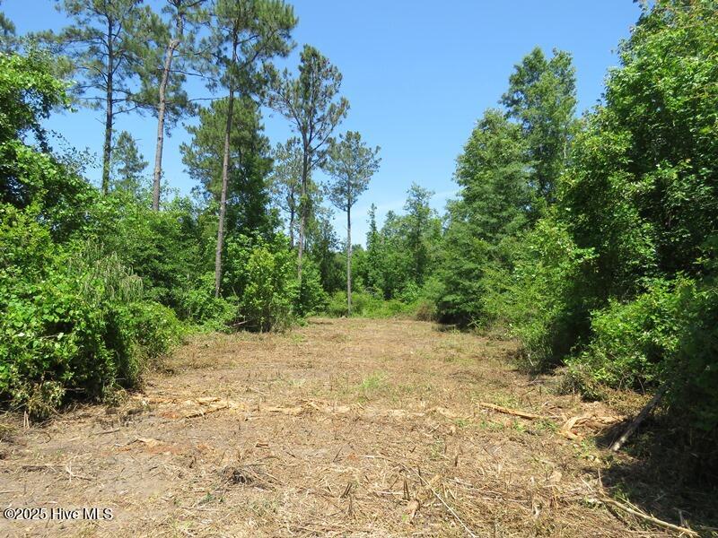 Tbd Near 5214 Andrew Jac Property Photo 15