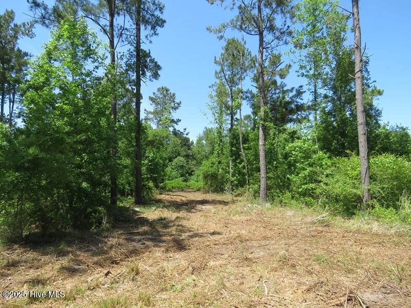 Tbd Near 5214 Andrew Jac Property Photo 16