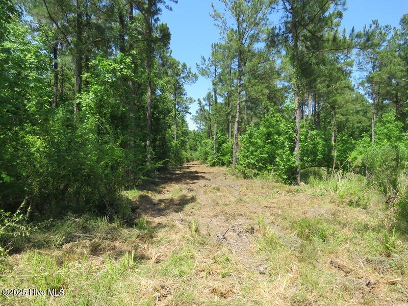 Tbd Near 5214 Andrew Jac Property Photo 17