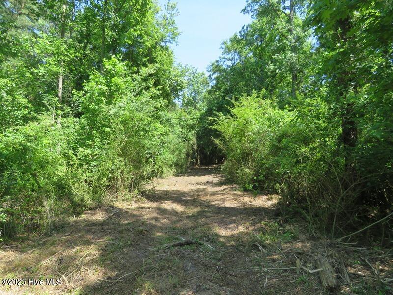 Tbd Near 5214 Andrew Jac Property Photo 18