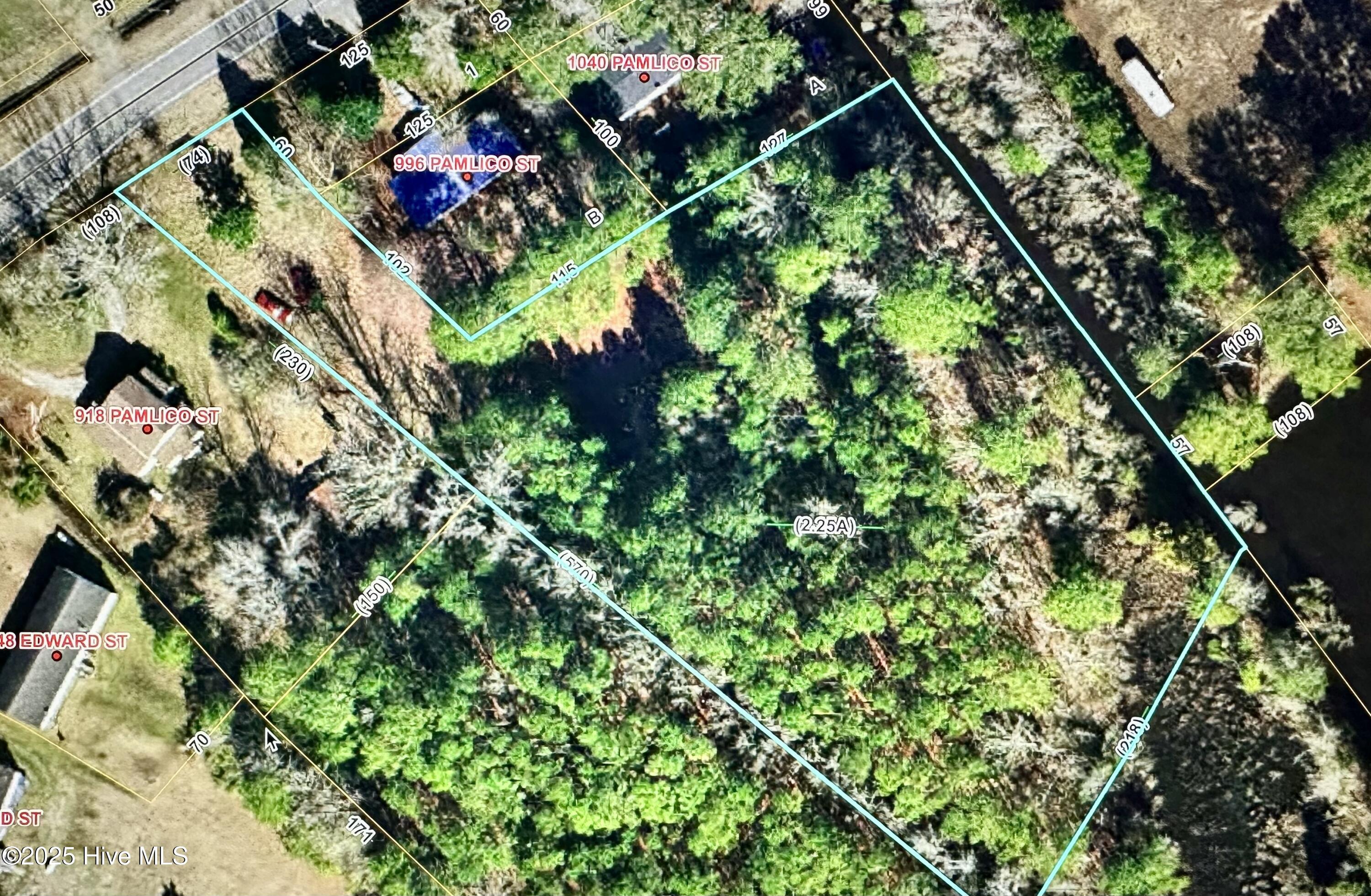 0 Pamlico Street Property Photo