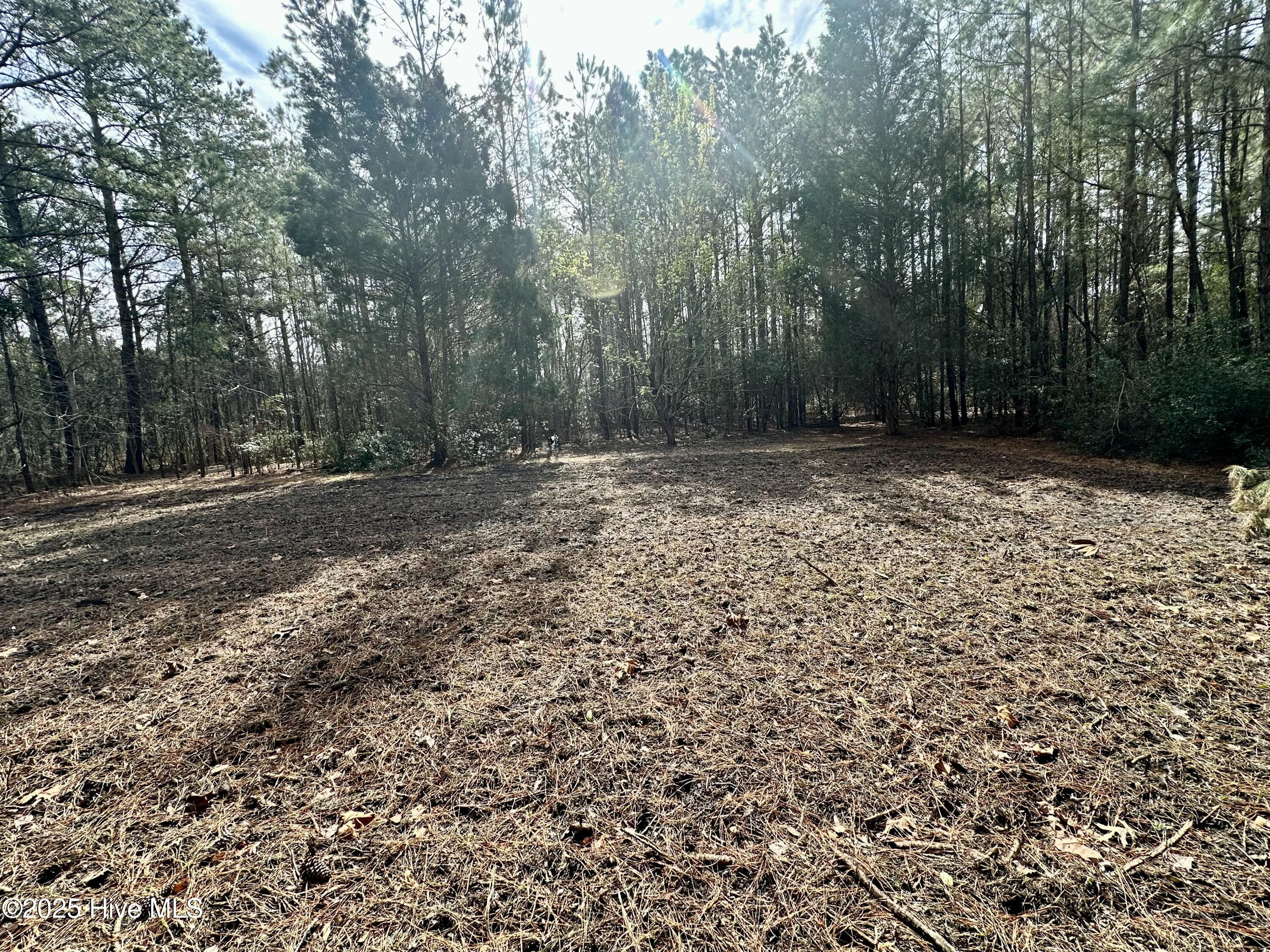 0 Pamlico Street Property Photo 4