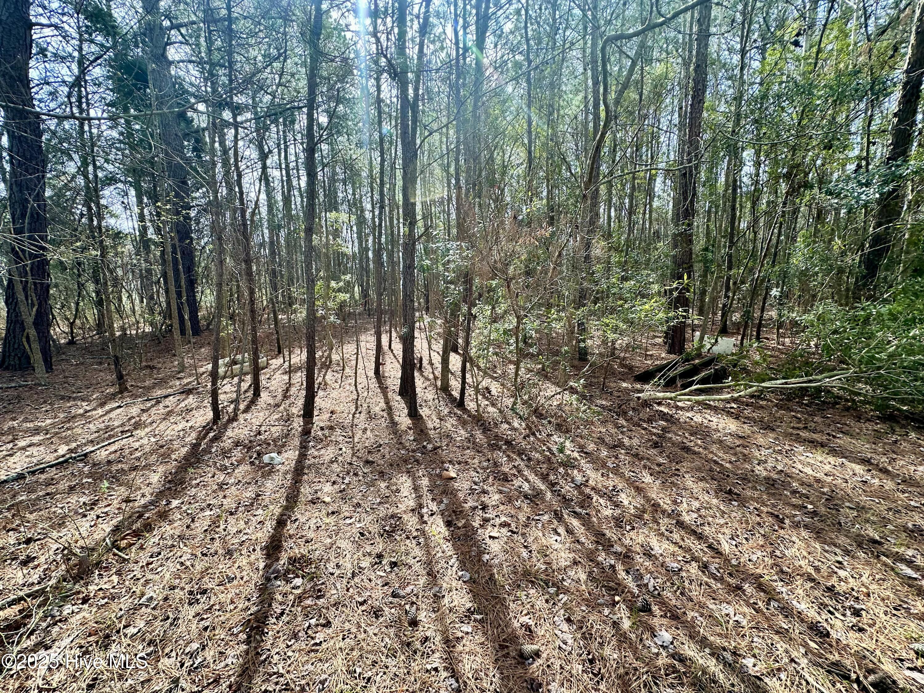 0 Pamlico Street Property Photo 7