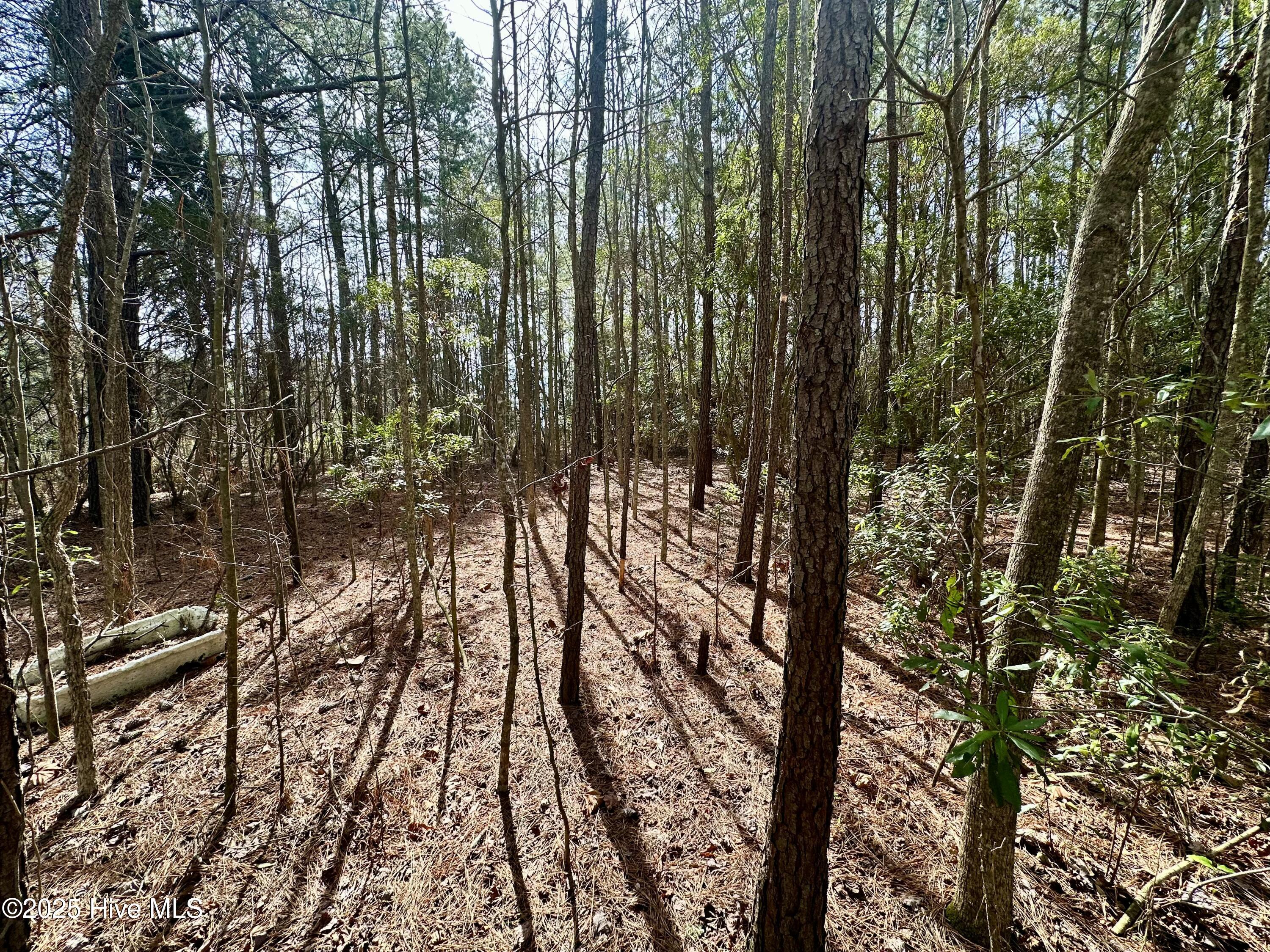0 Pamlico Street Property Photo 8