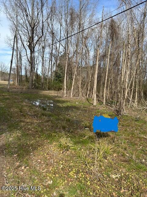 203 Leghorn Street Property Photo 1