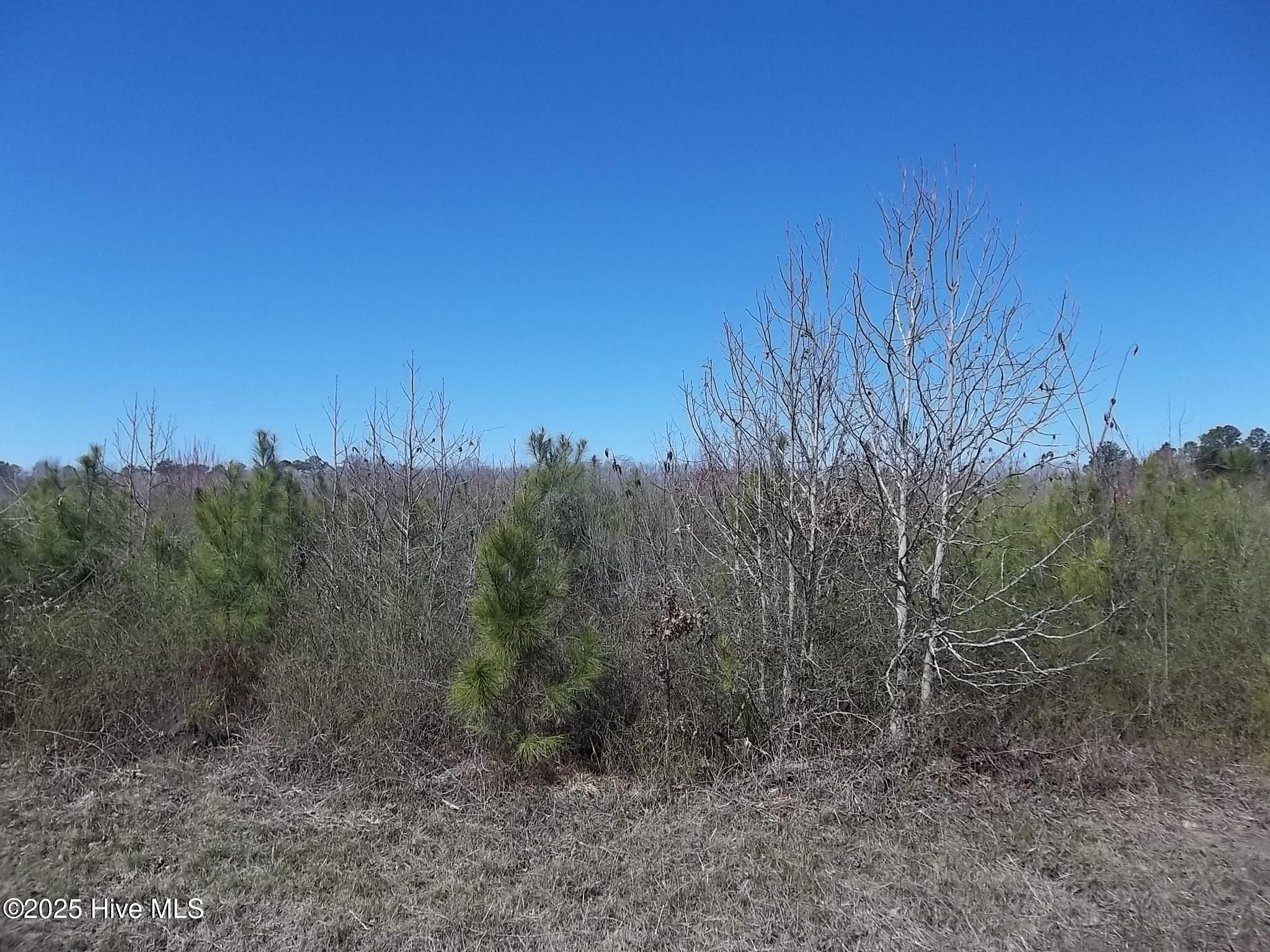 Lot #2 Boat Ramp Road Property Photo
