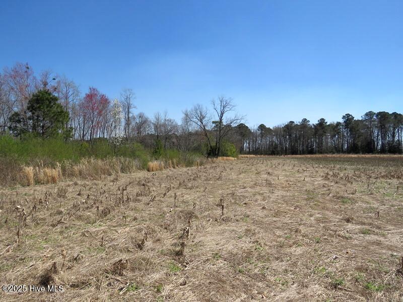 Tbd Old Stage Road Property Photo 8
