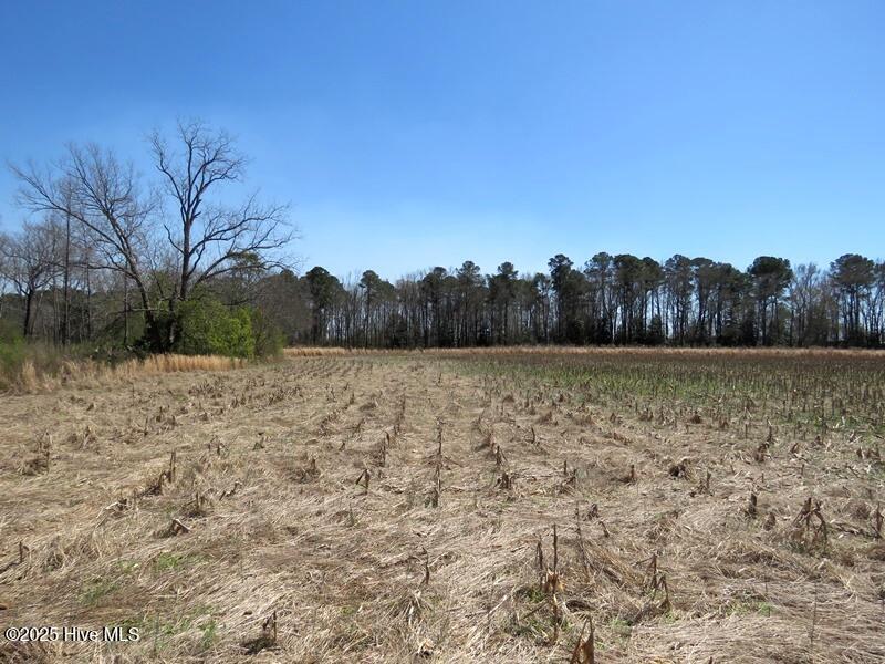 Tbd Old Stage Road Property Photo 9