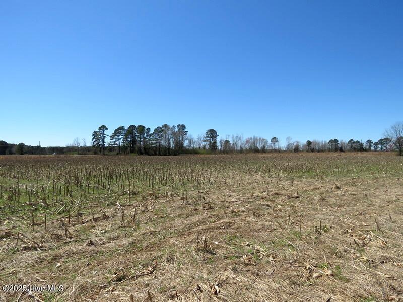 Tbd Old Stage Road Property Photo 10