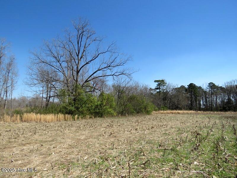 Tbd Old Stage Road Property Photo 11
