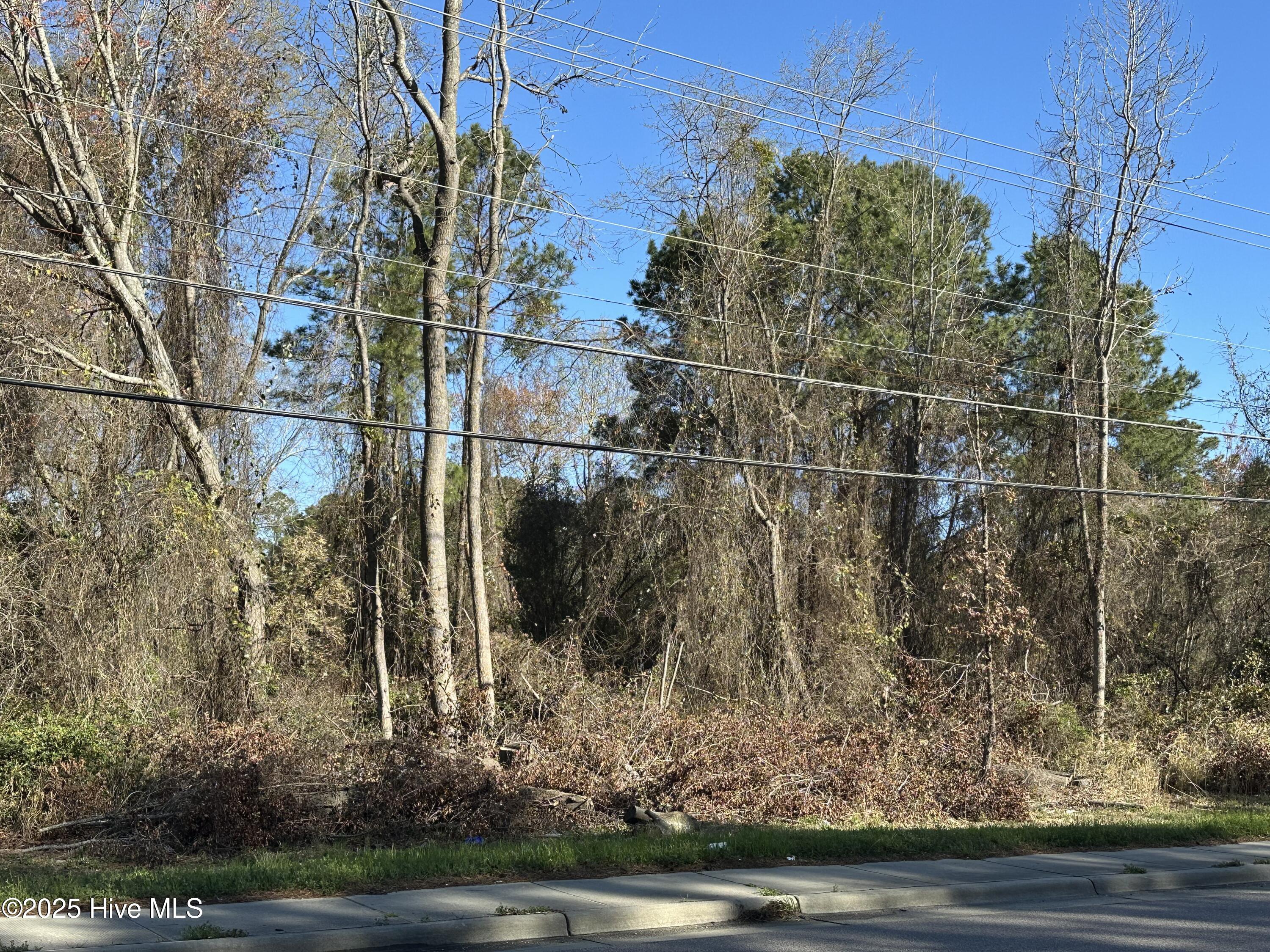 1507 N Berkeley Boulevard Property Photo