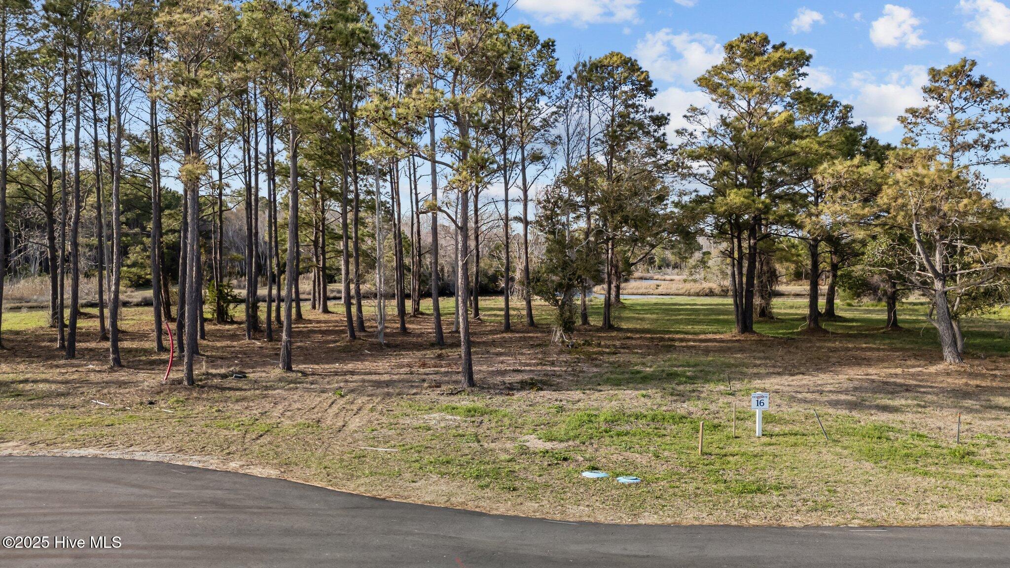 246 Bethea Street Property Photo 10