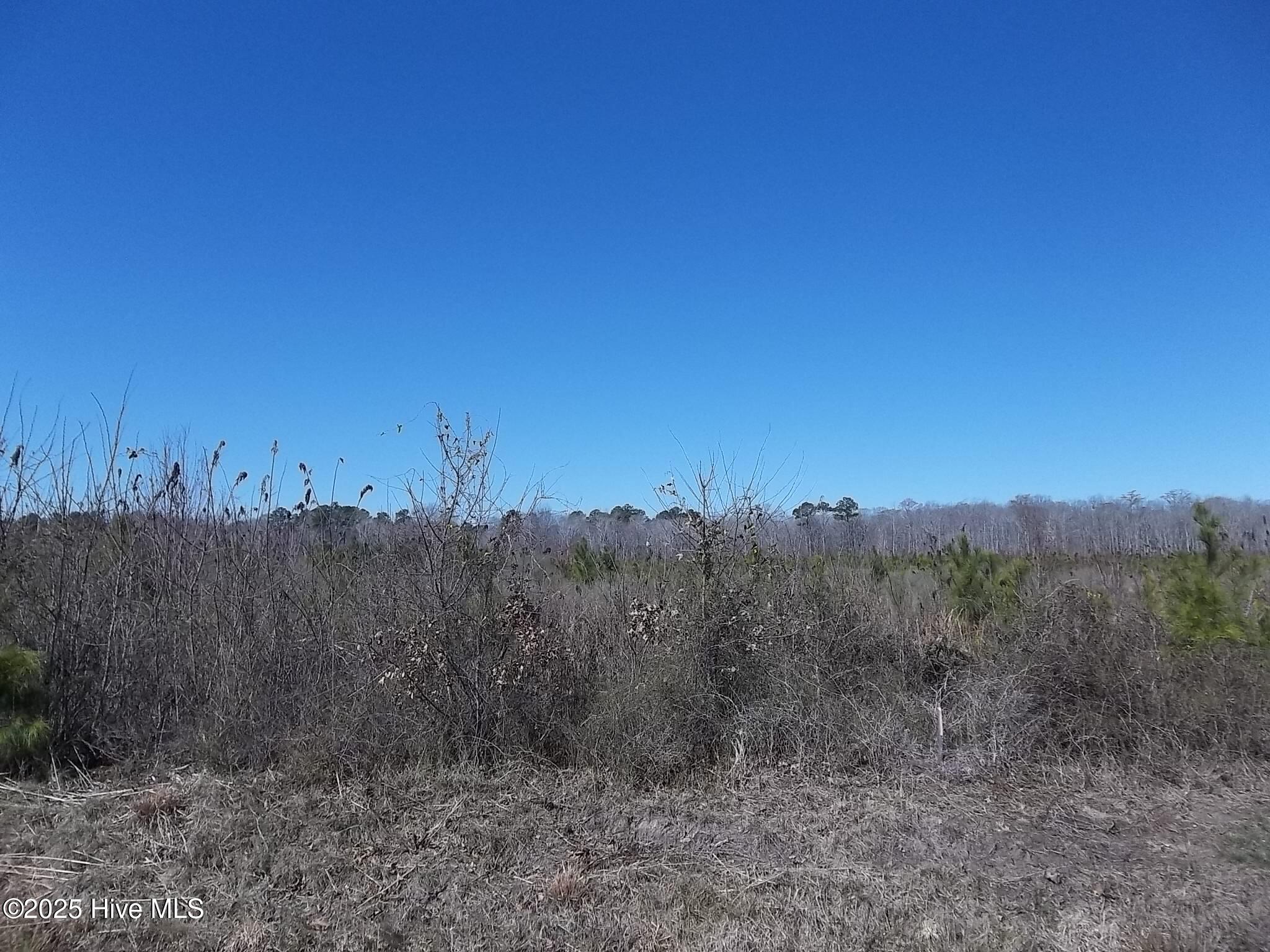 Lot# 4 Boat Ramp Road Property Photo