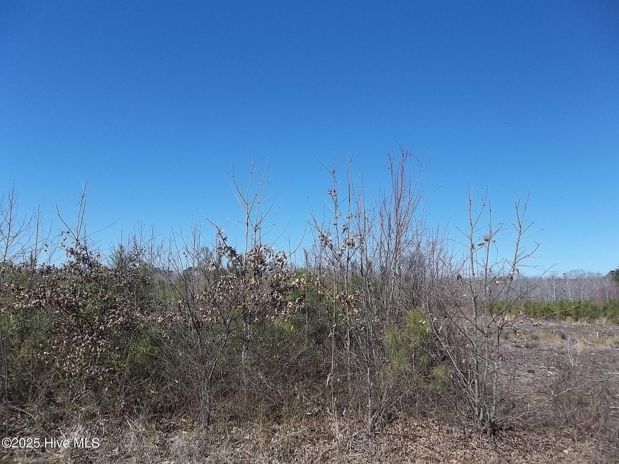 Lot# 6 Boat Ramp Road Property Photo