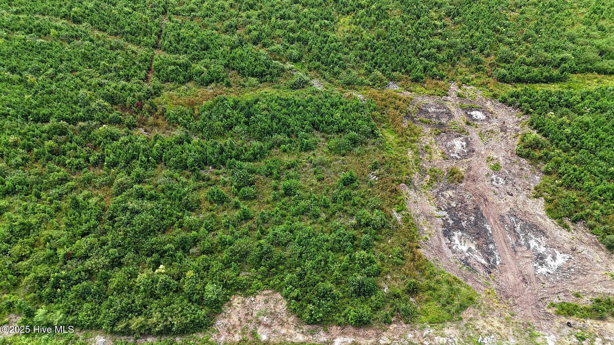 Tbd Boat Ramp Road Property Photo 3