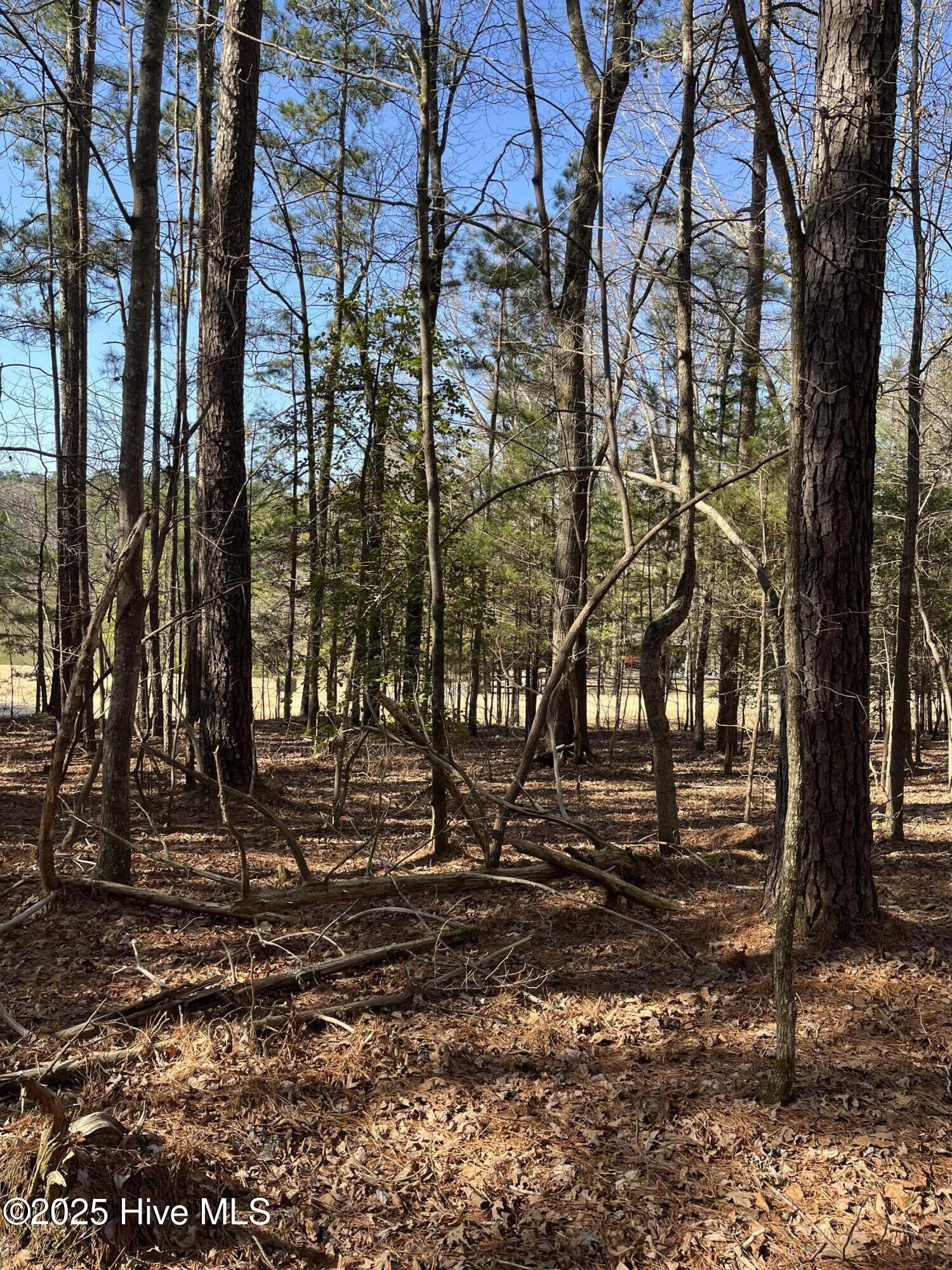 Lot 84 Appaloosa Lake Drive Property Photo 1