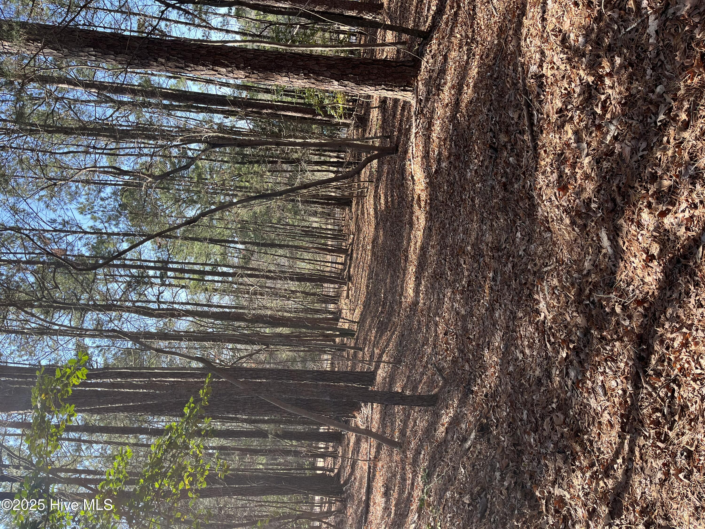 Lot 84 Appaloosa Lake Drive Property Photo 2