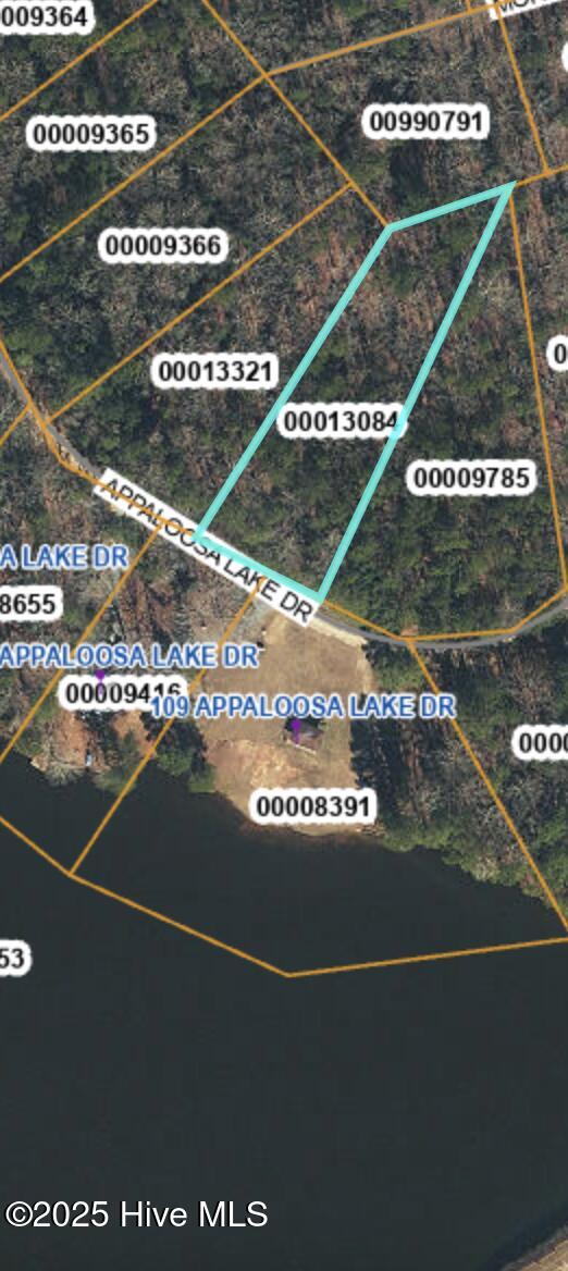 Lot 84 Appaloosa Lake Drive Property Photo 3