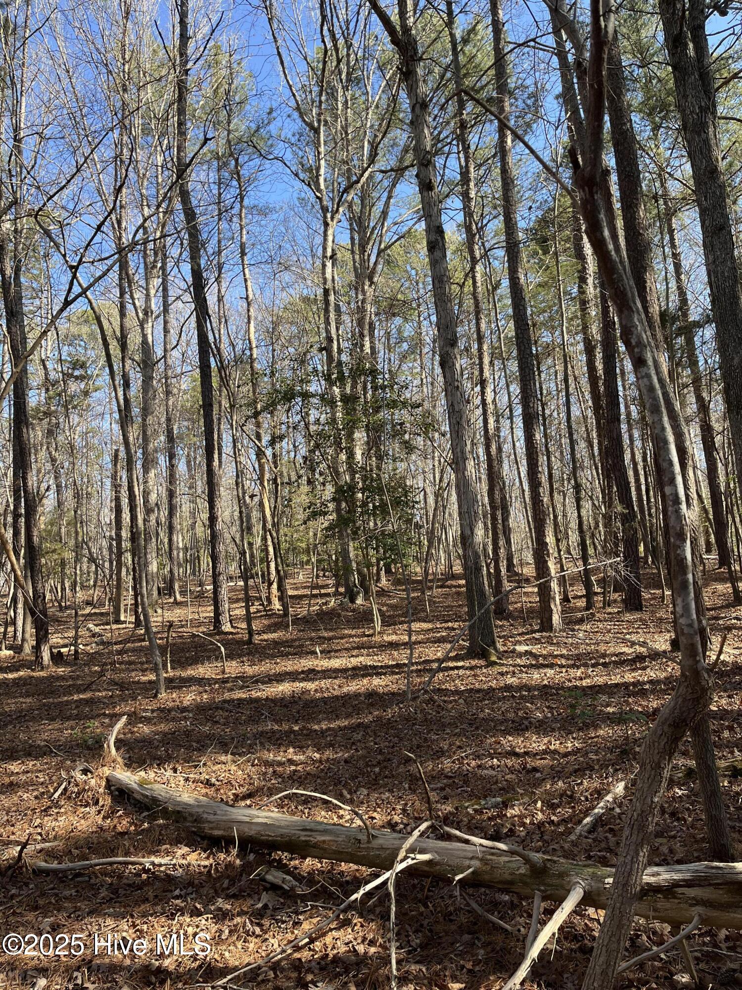 Lot 84 Appaloosa Lake Drive Property Photo 5