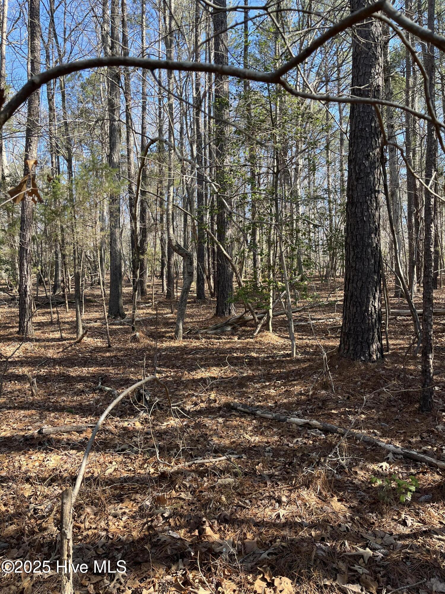 Lot 84 Appaloosa Lake Drive Property Photo 7
