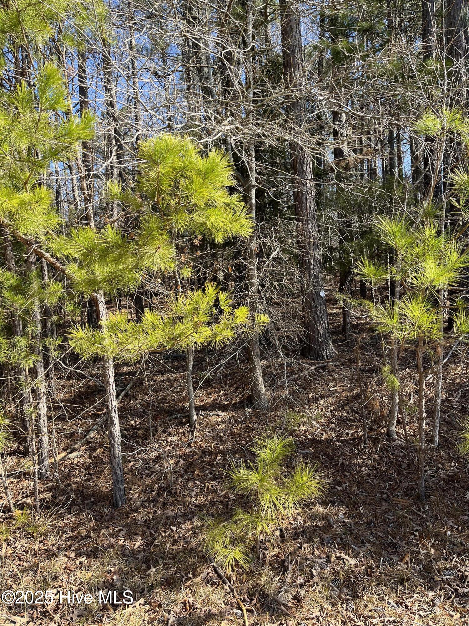 Lot 84 Appaloosa Lake Drive Property Photo 12