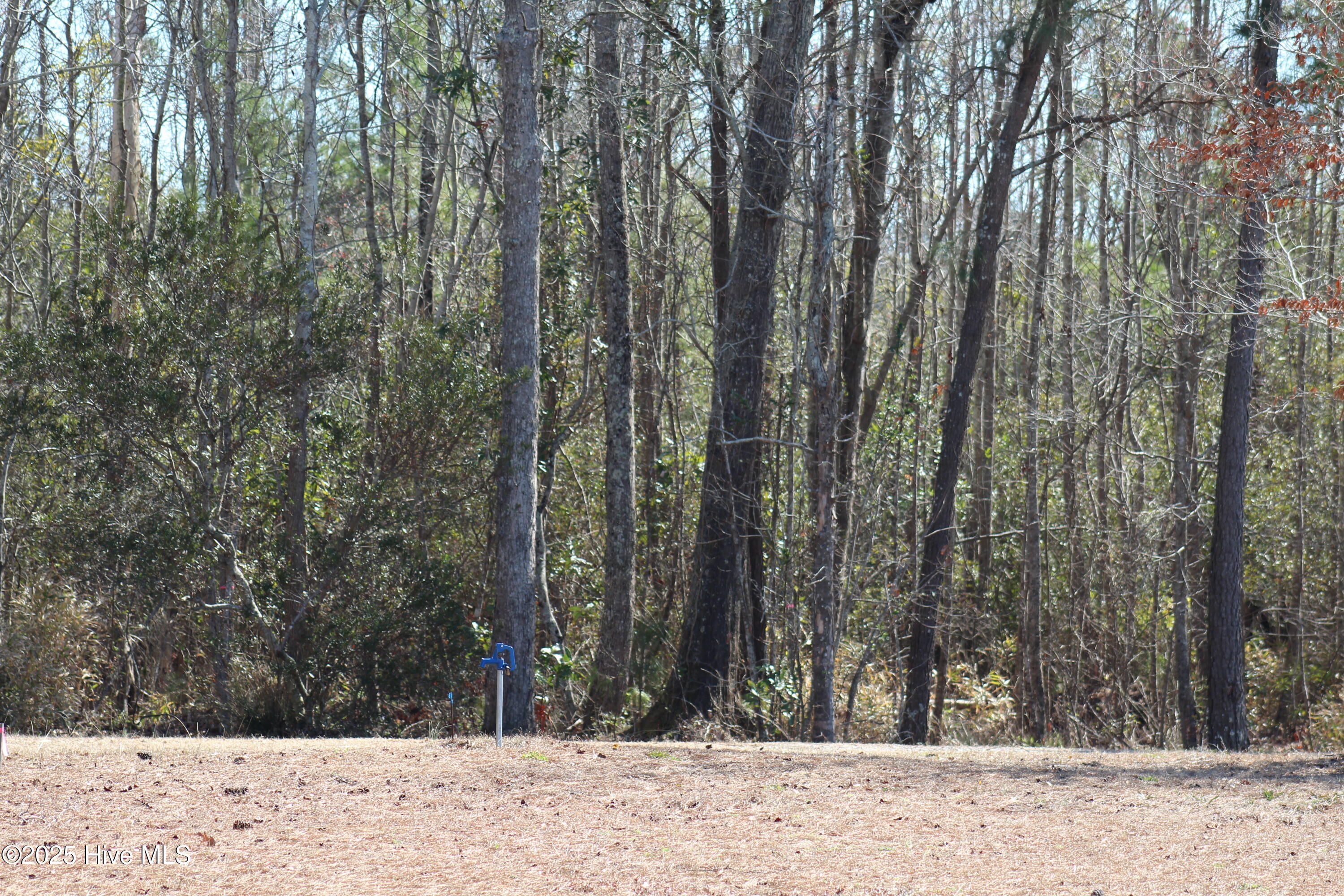 331 Newberry Landing Property Photo 10