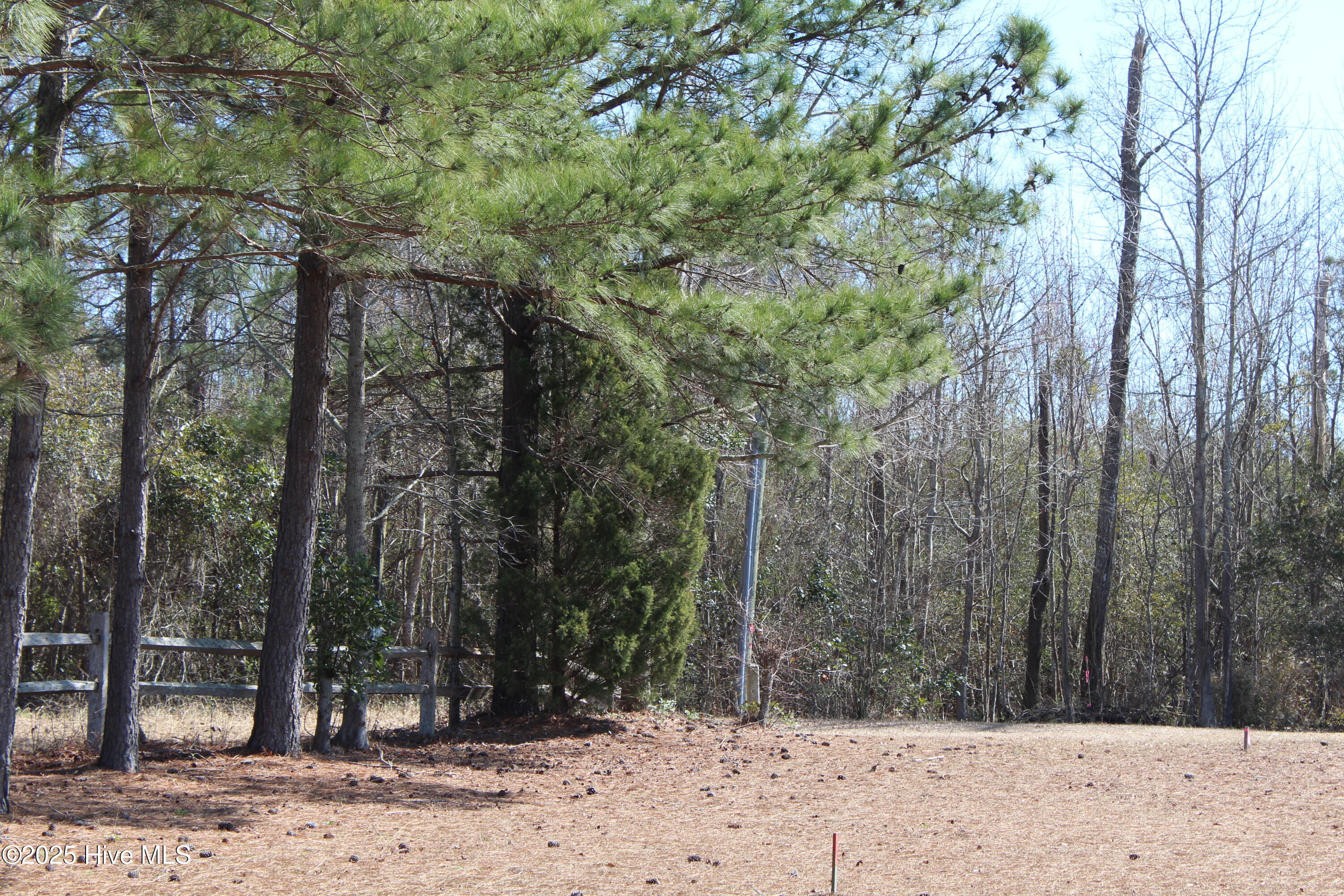 331 Newberry Landing Property Photo 13