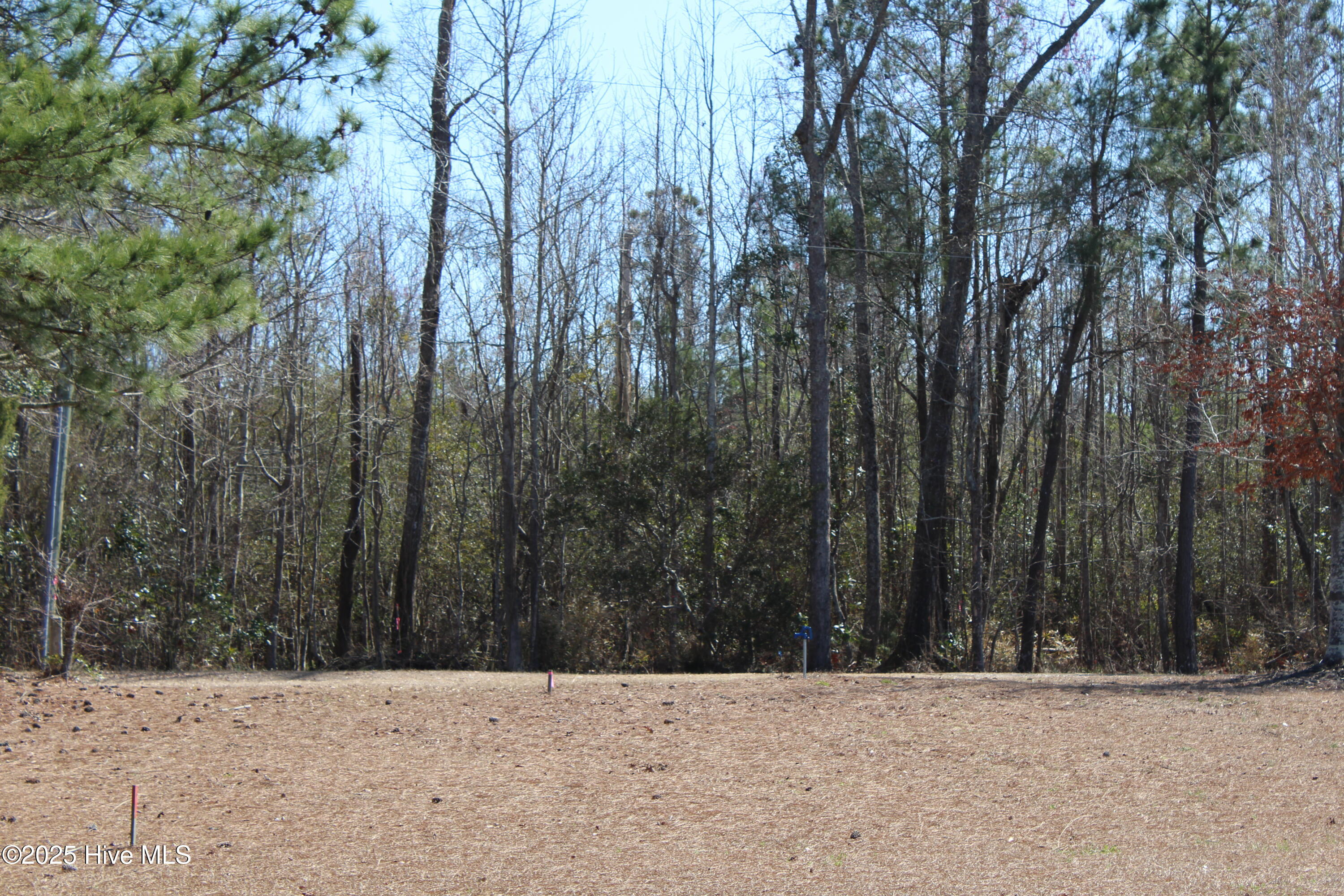 331 Newberry Landing Property Photo 14