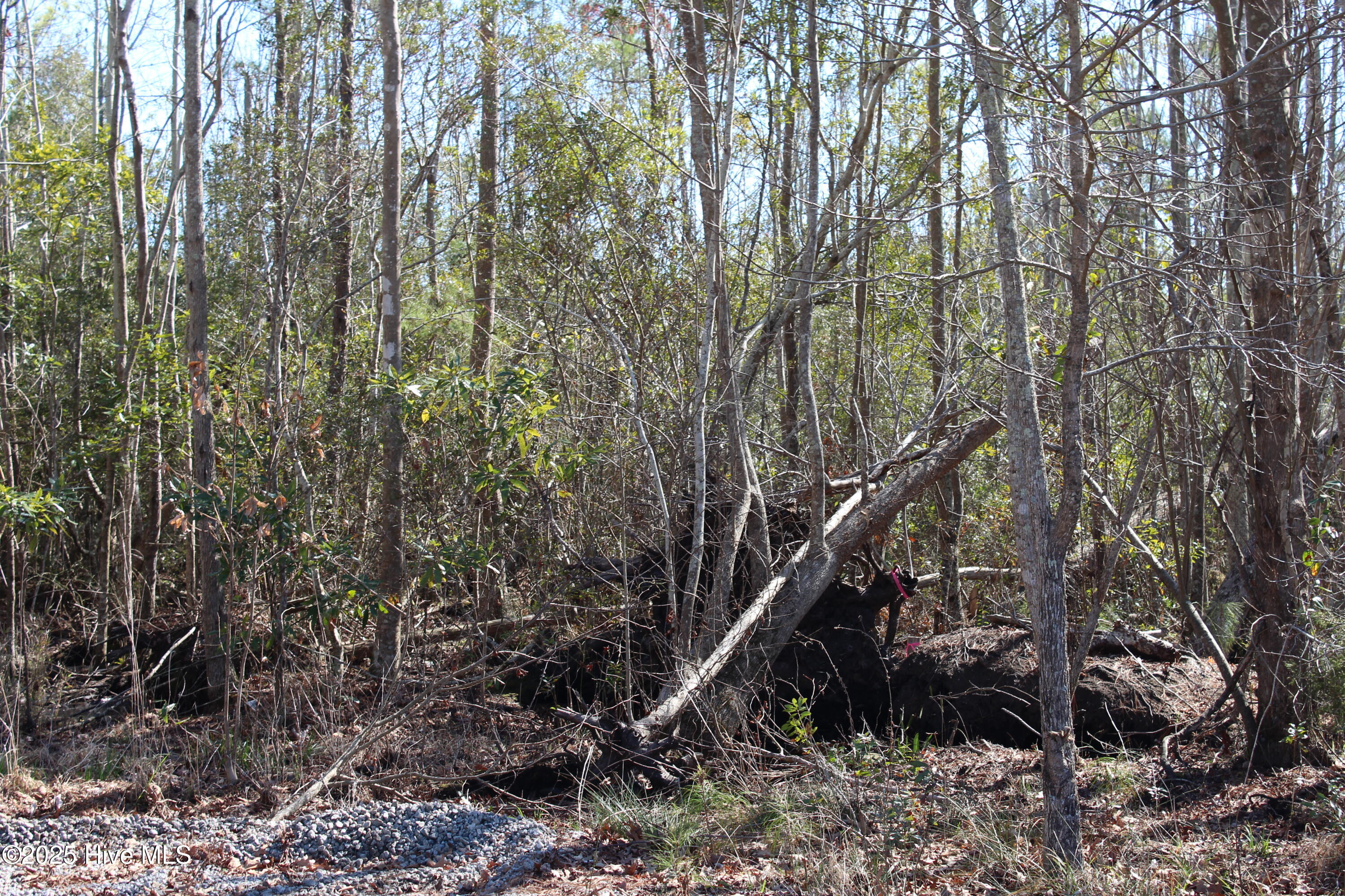 331 Newberry Landing Property Photo 17