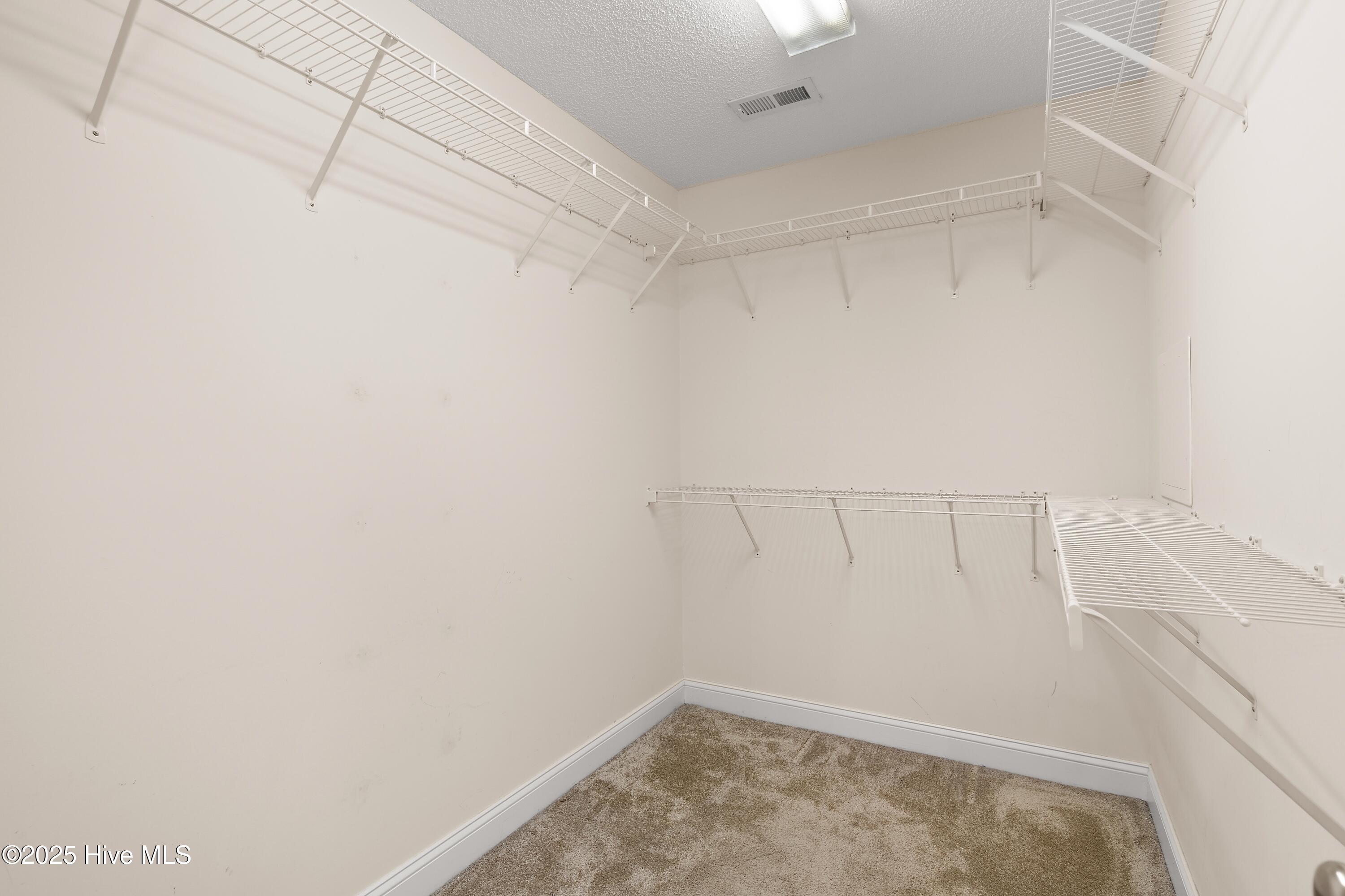 231 Jessica Lakes Drive Property Photo 24