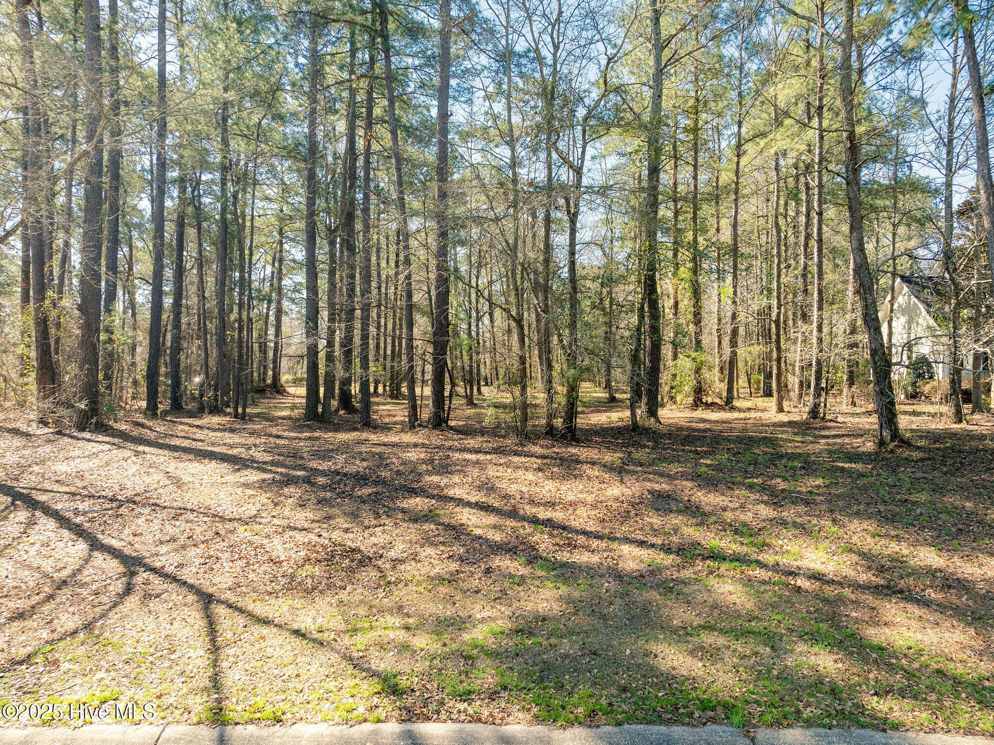 262 W Winding Way Property Photo 9