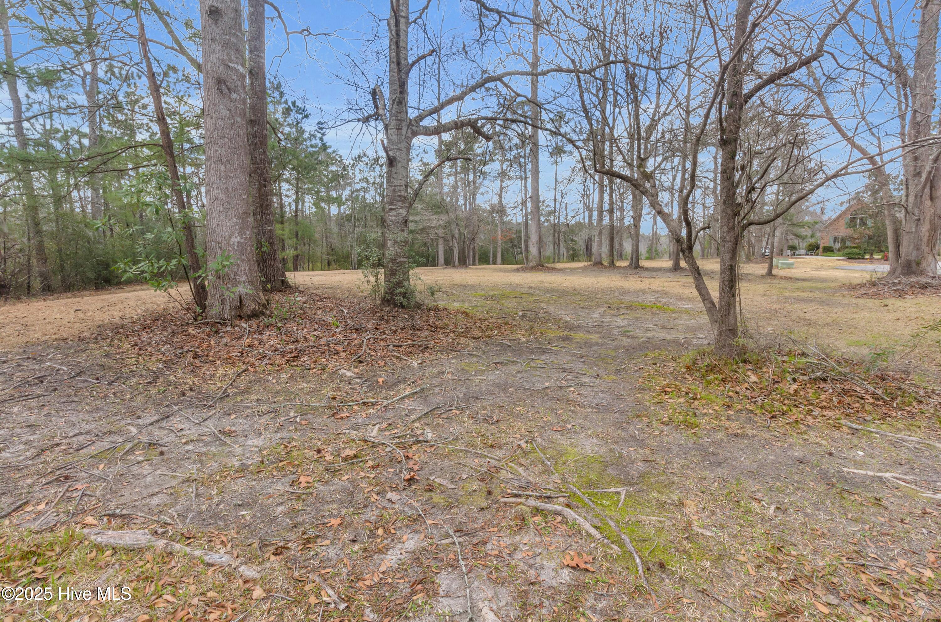 109 Brugg Court Property Photo 2