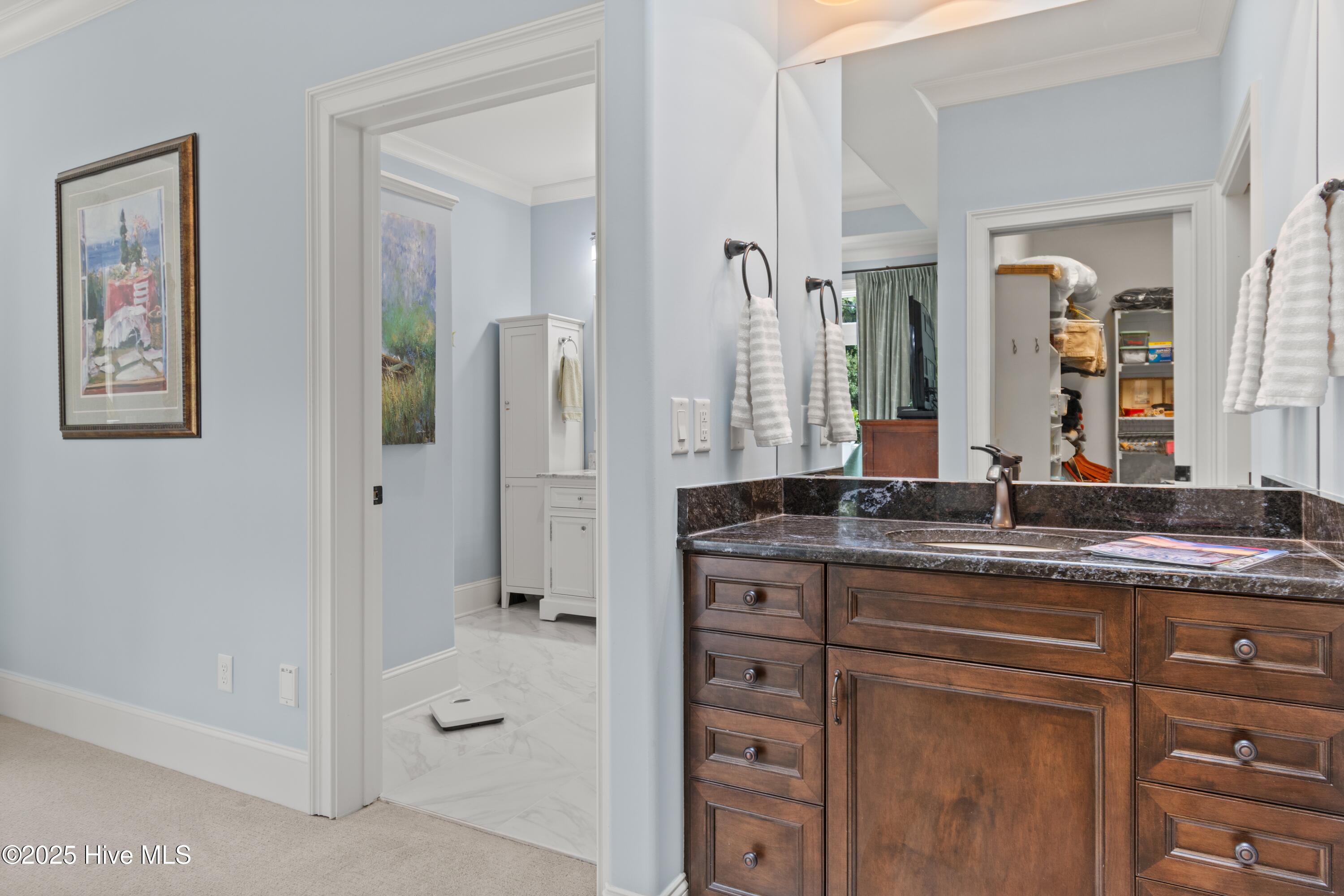 3618 Holly Harbor Drive Property Photo 30