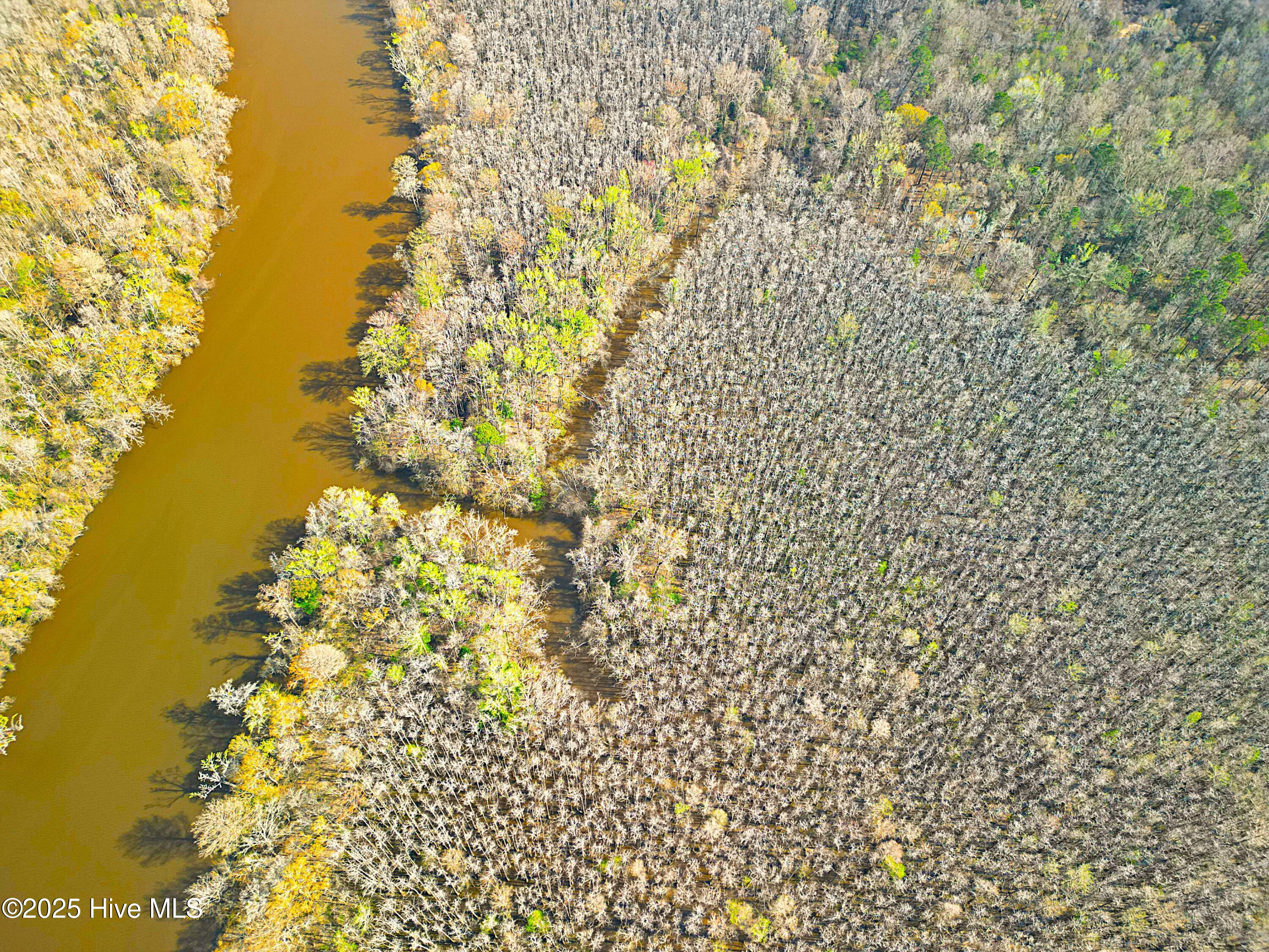 84 Acre Private Island, Cape Fear Rive Property Photo 8