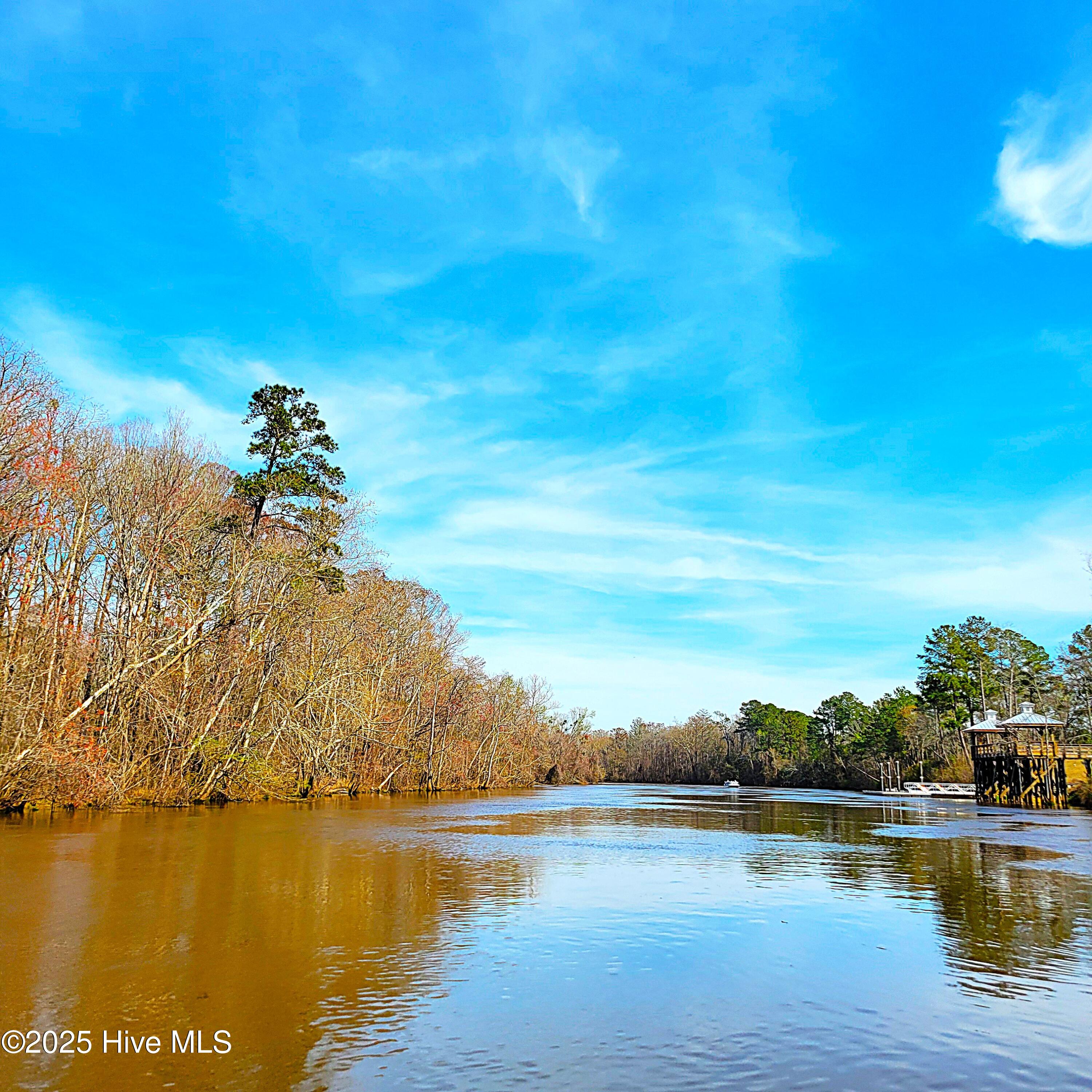 84 Acre Private Island, Cape Fear Rive Property Photo 9