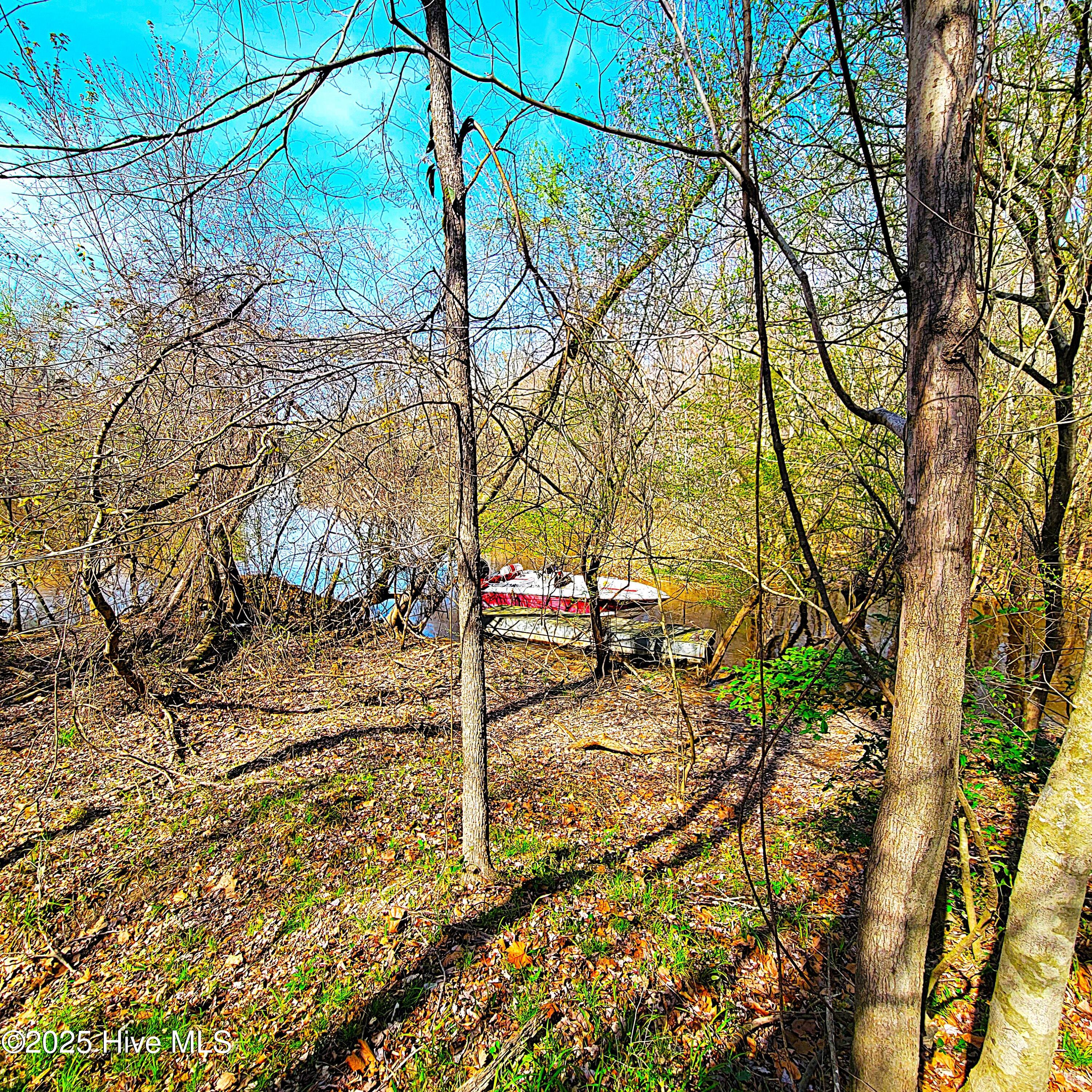 84 Acre Private Island, Cape Fear Rive Property Photo 13