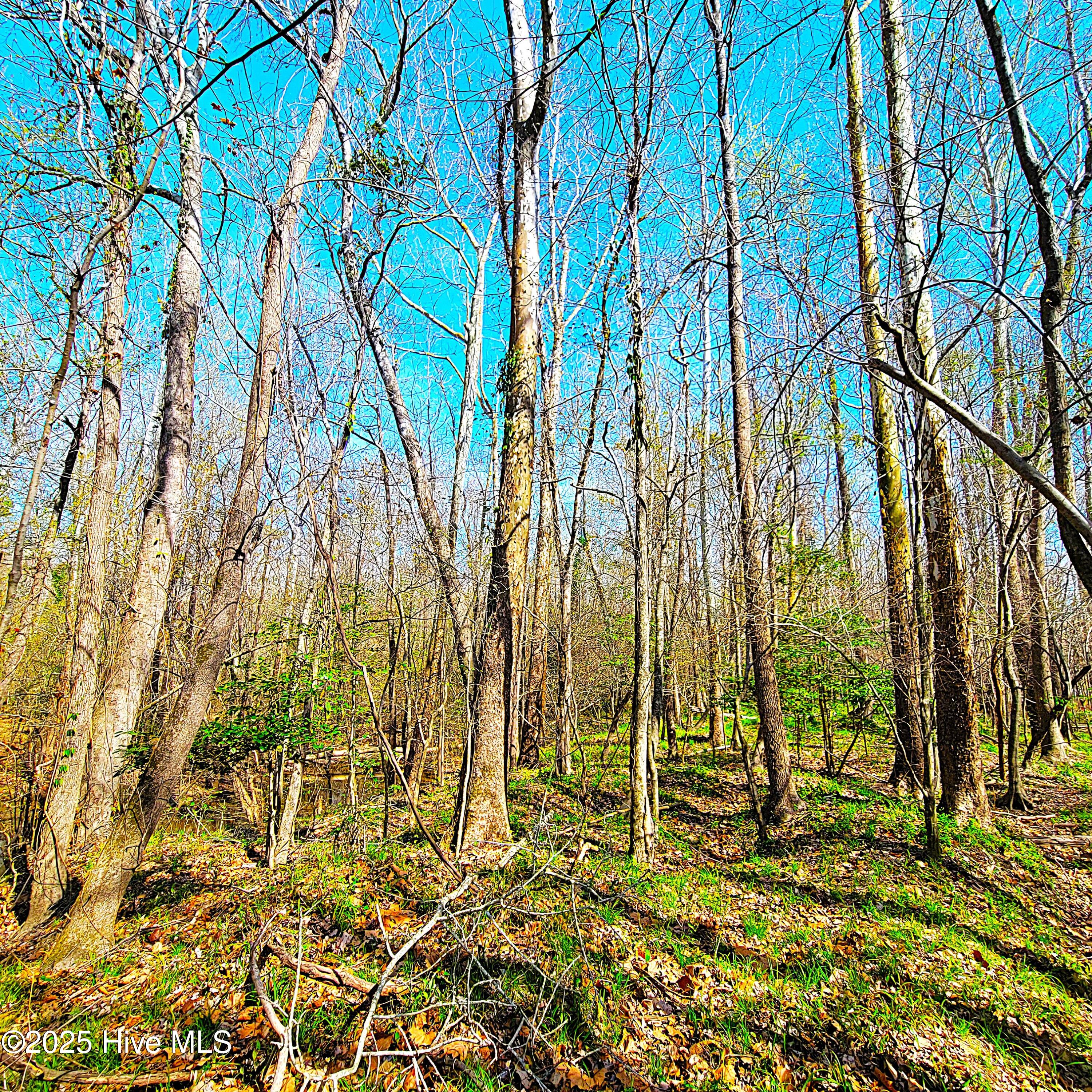 84 Acre Private Island, Cape Fear Rive Property Photo 14