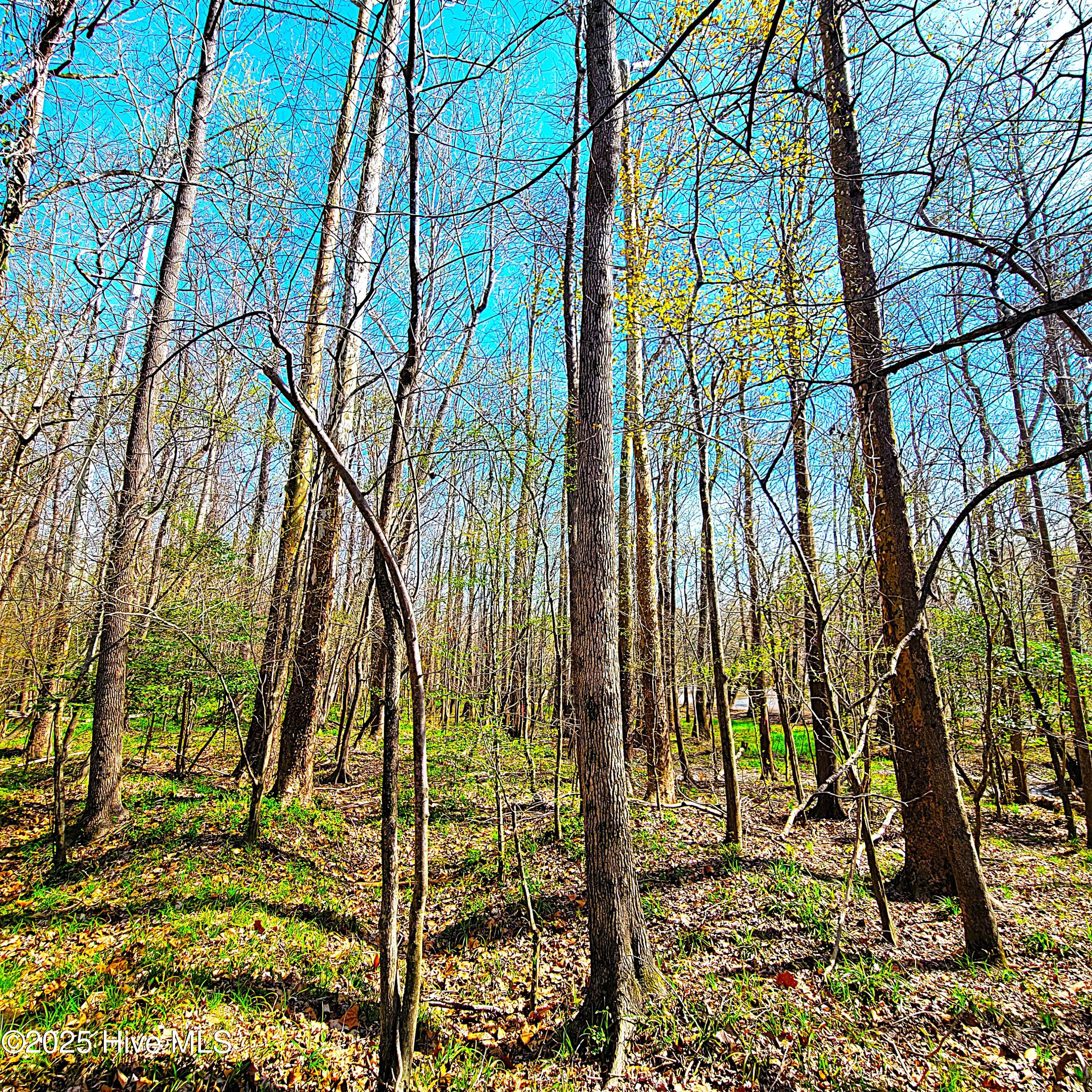 84 Acre Private Island, Cape Fear Rive Property Photo 15