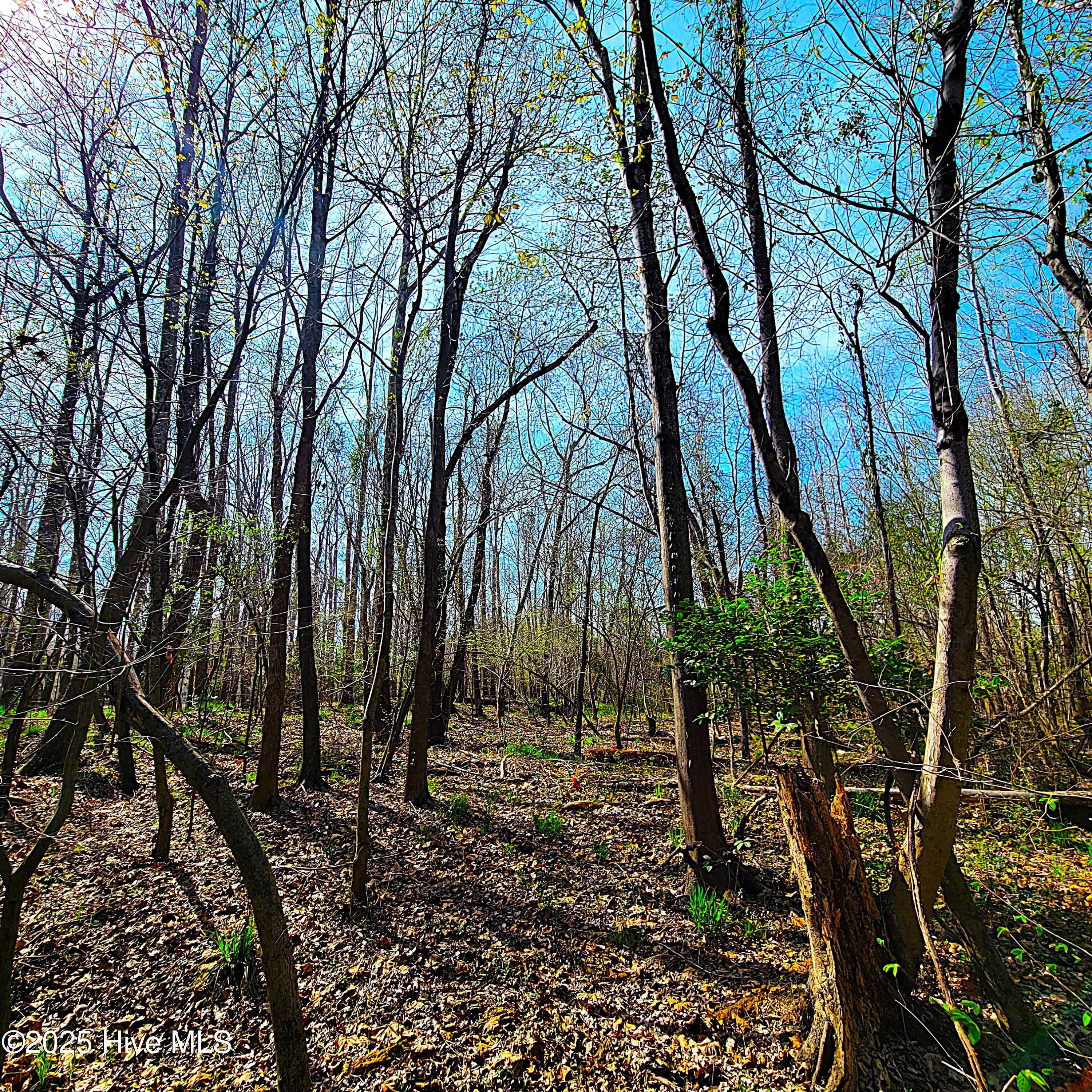 84 Acre Private Island, Cape Fear Rive Property Photo 16