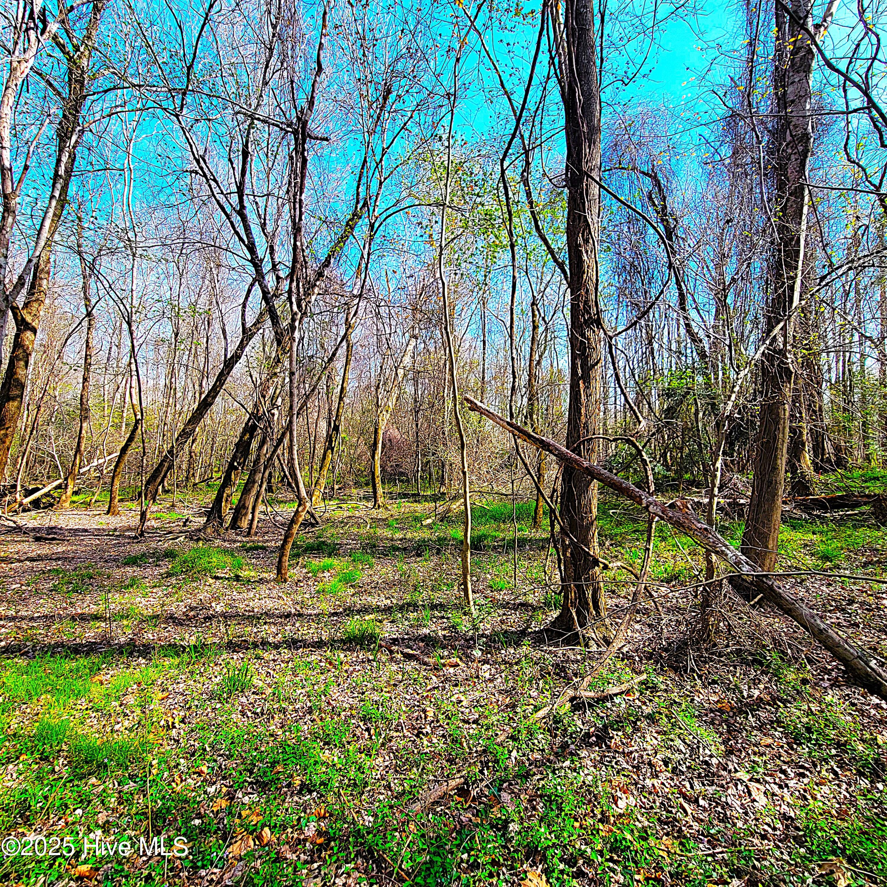 84 Acre Private Island, Cape Fear Rive Property Photo 18