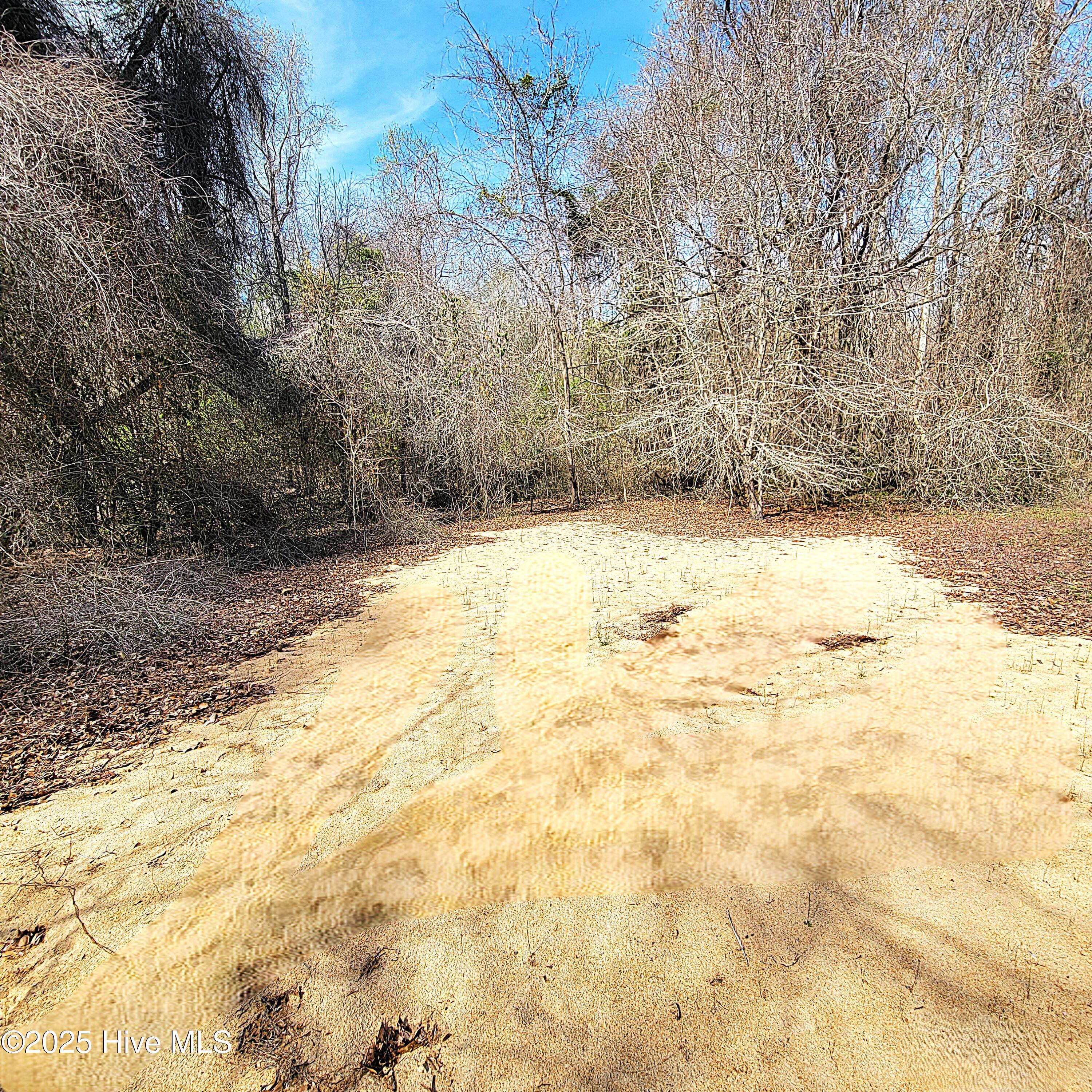 84 Acre Private Island, Cape Fear Rive Property Photo 20