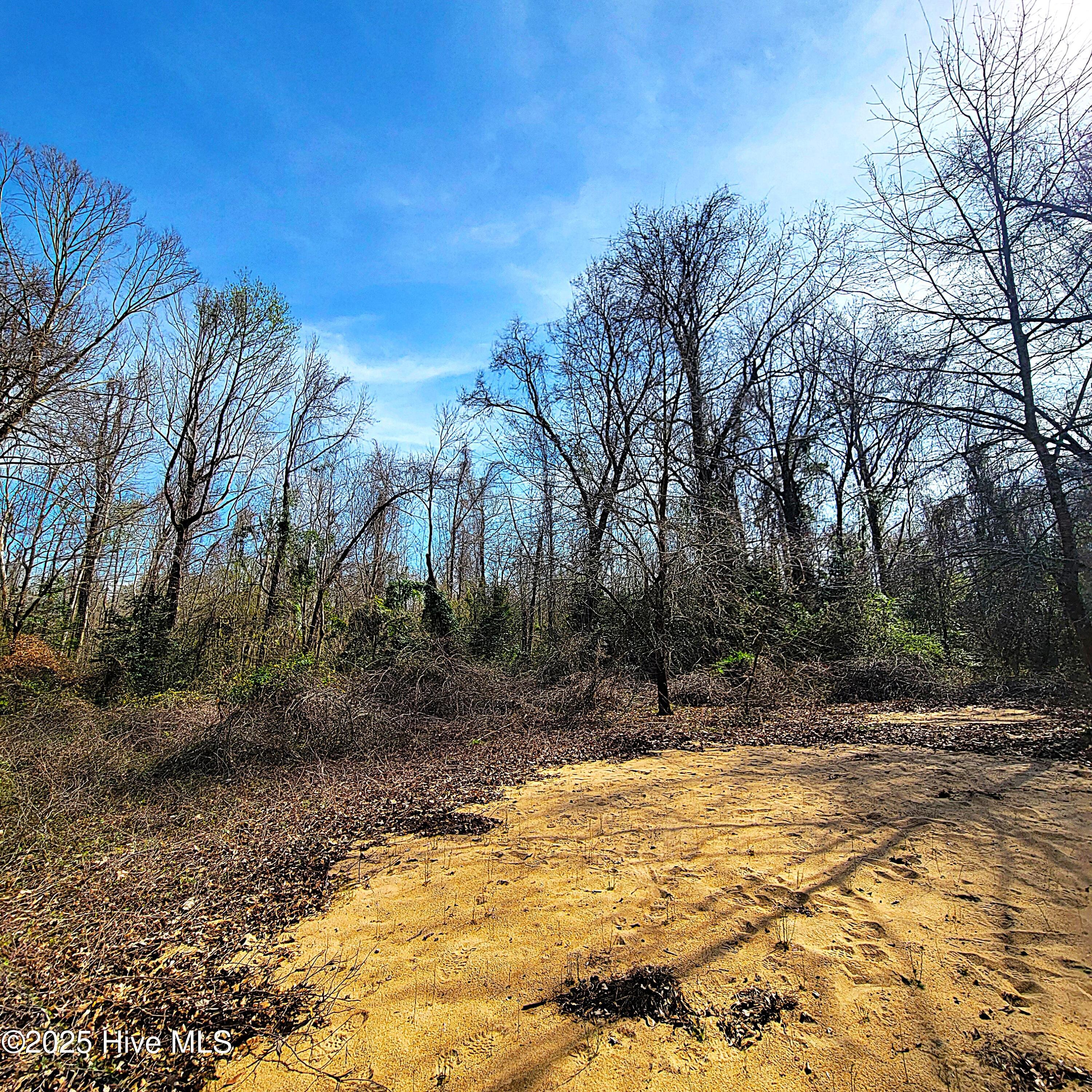 84 Acre Private Island, Cape Fear Rive Property Photo 21