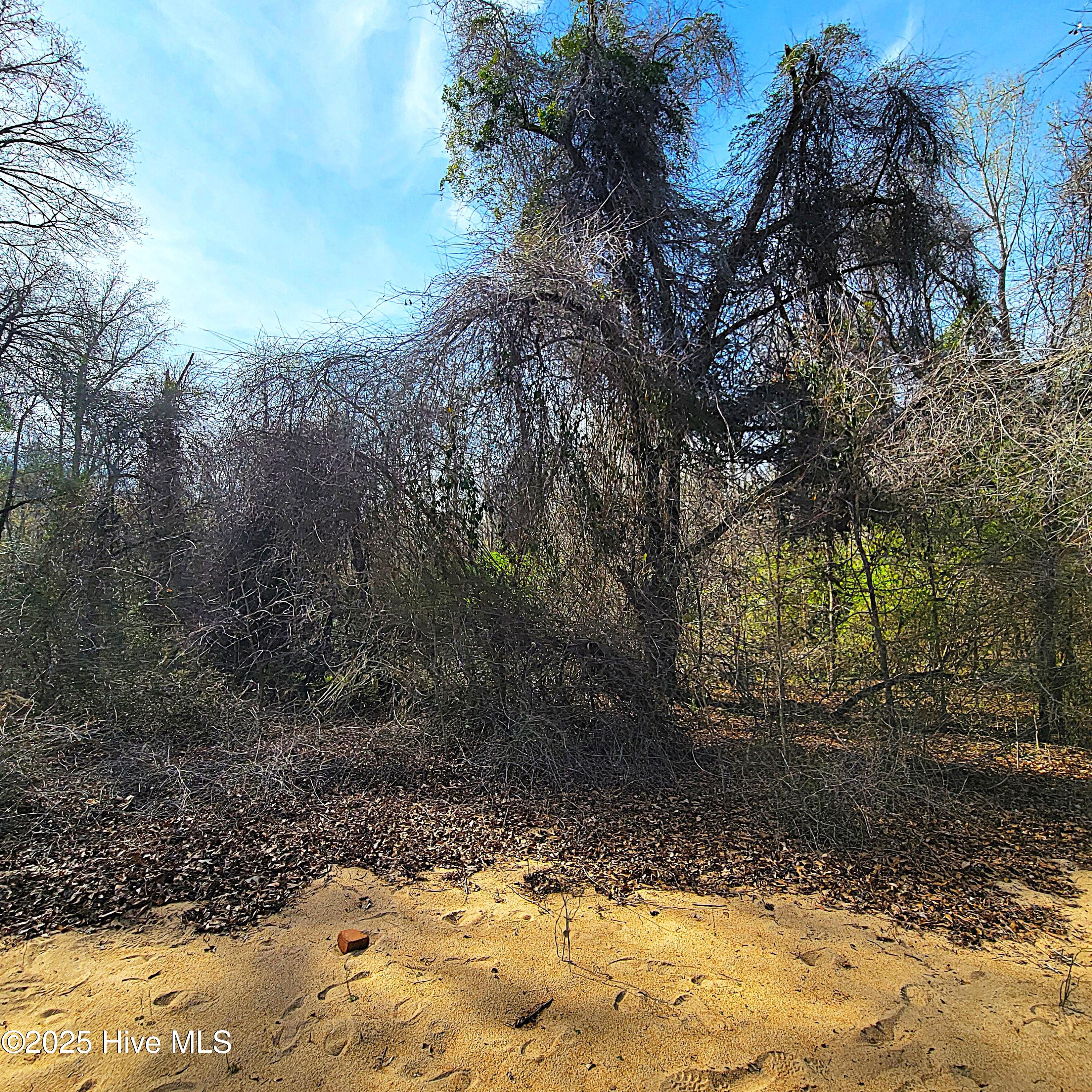 84 Acre Private Island, Cape Fear Rive Property Photo 22