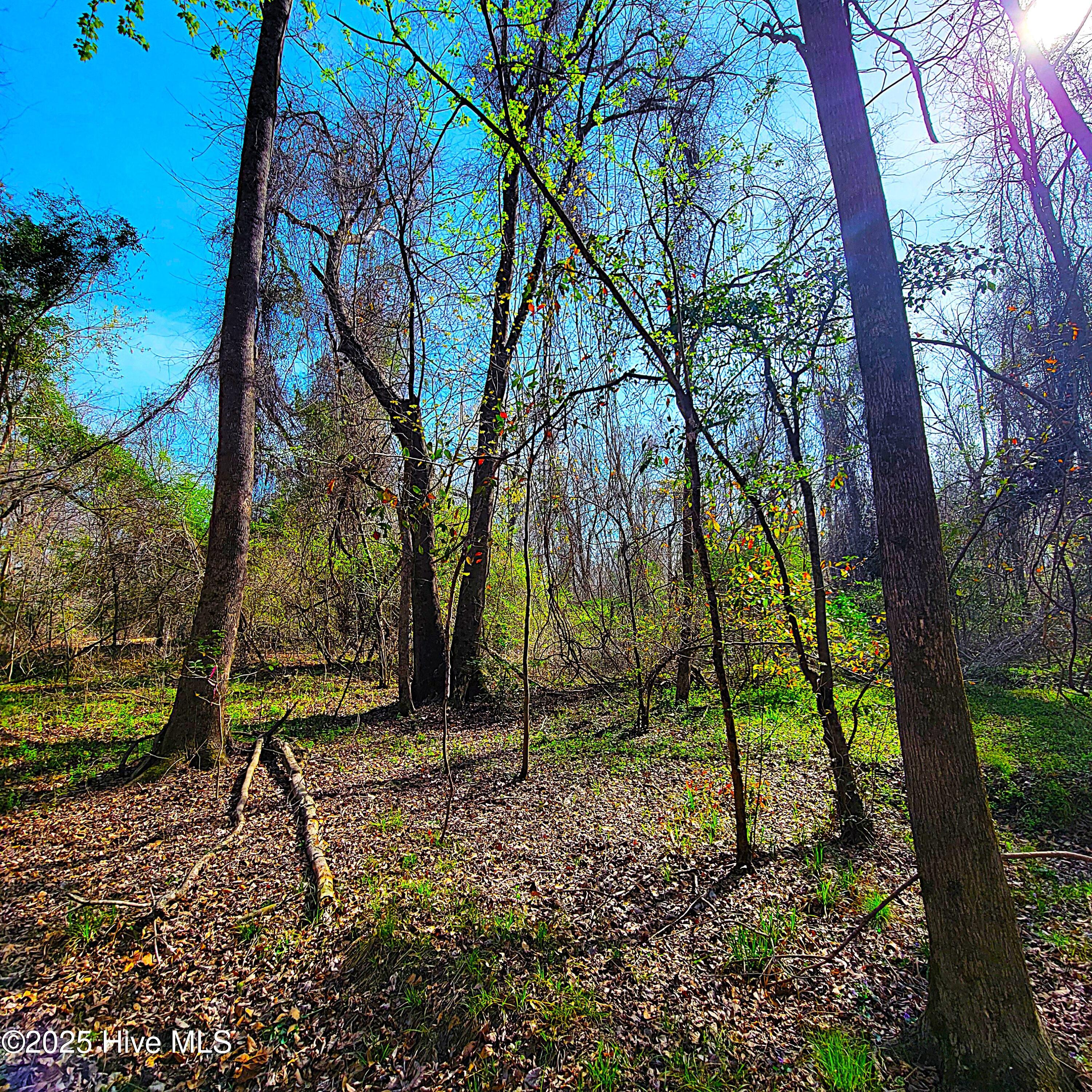 84 Acre Private Island, Cape Fear Rive Property Photo 24