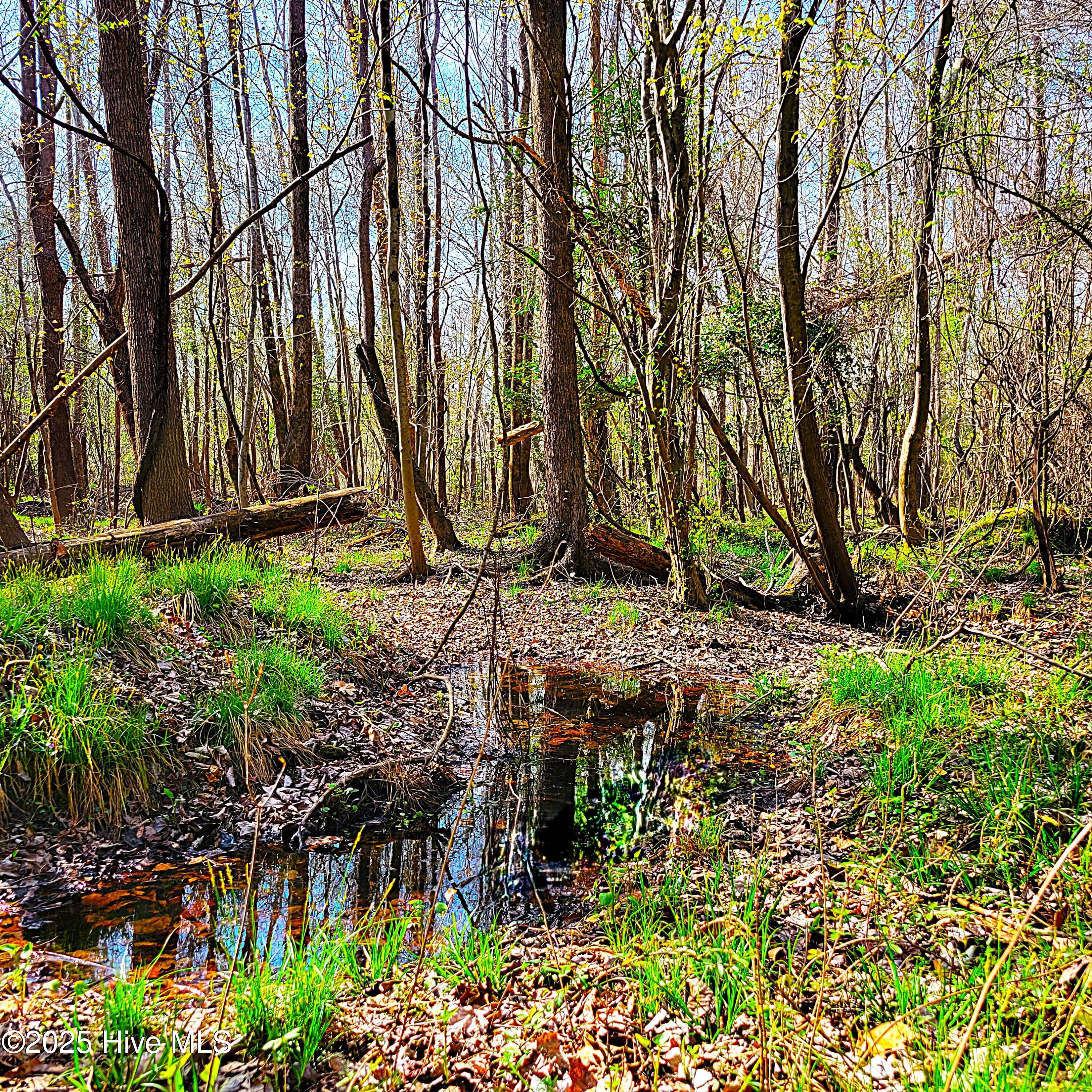 84 Acre Private Island, Cape Fear Rive Property Photo 28