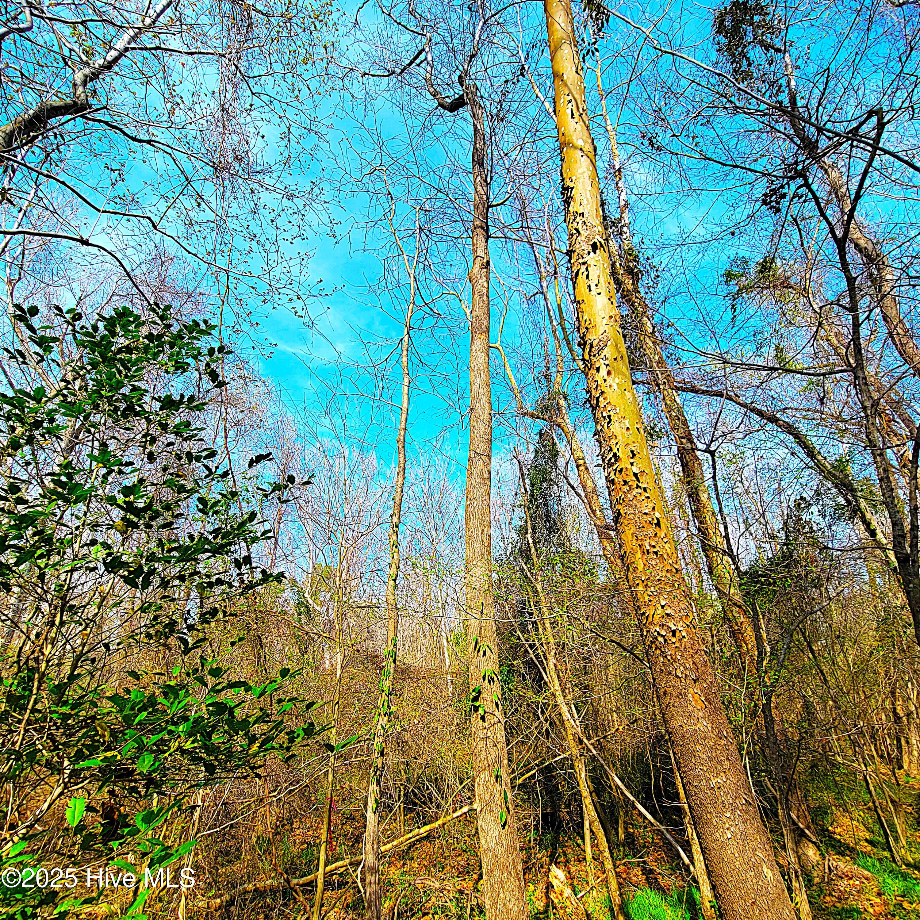 84 Acre Private Island, Cape Fear Rive Property Photo 30