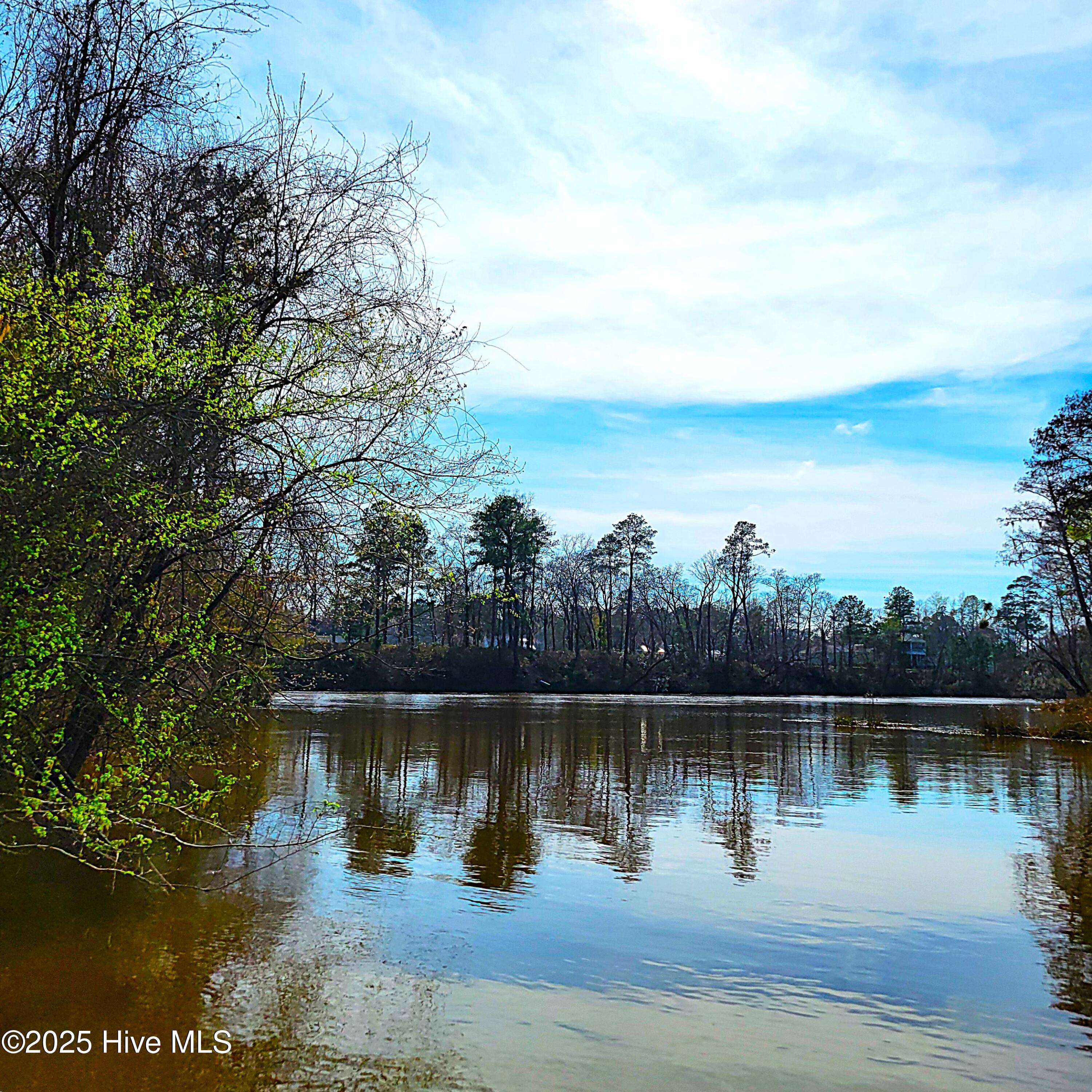 84 Acre Private Island, Cape Fear Rive Property Photo 31