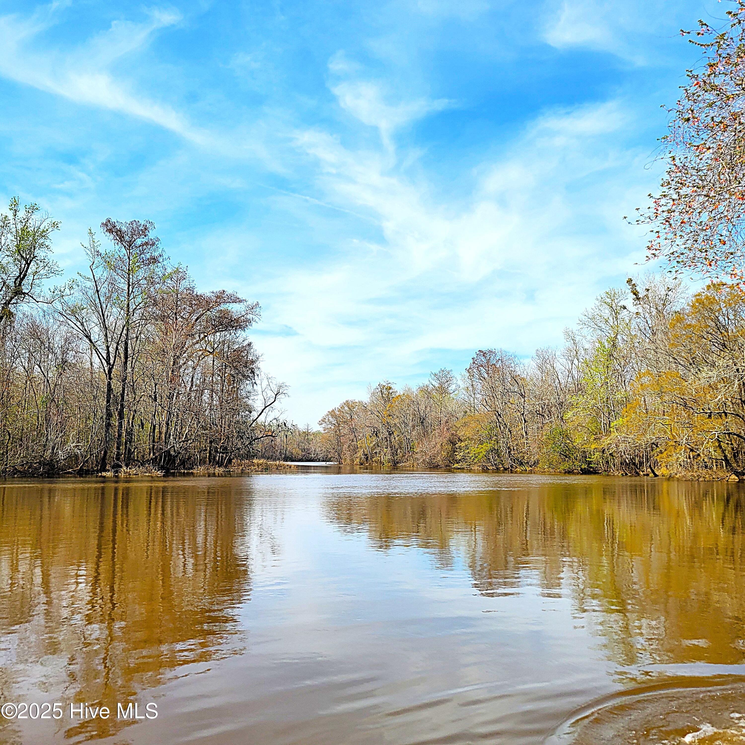 84 Acre Private Island, Cape Fear Rive Property Photo 32